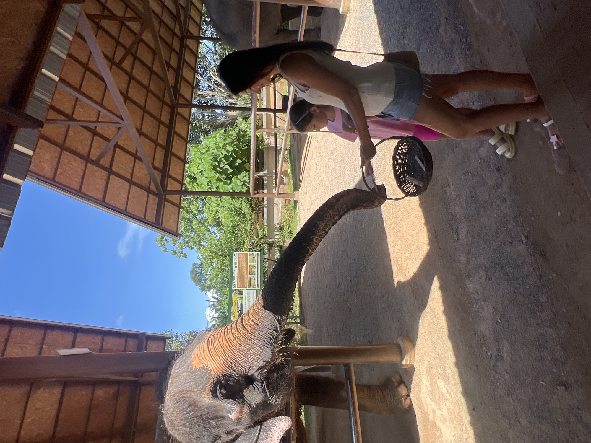 Baan Thurian, Thailand: An elephant is positioned behind a low, metal railing and beneath a covered, metal structure. A woman and a child stand in front of the railing, holding a basket out to the elephant's extended trunk. The surrounding environment includes trees, vegetation, and signage.