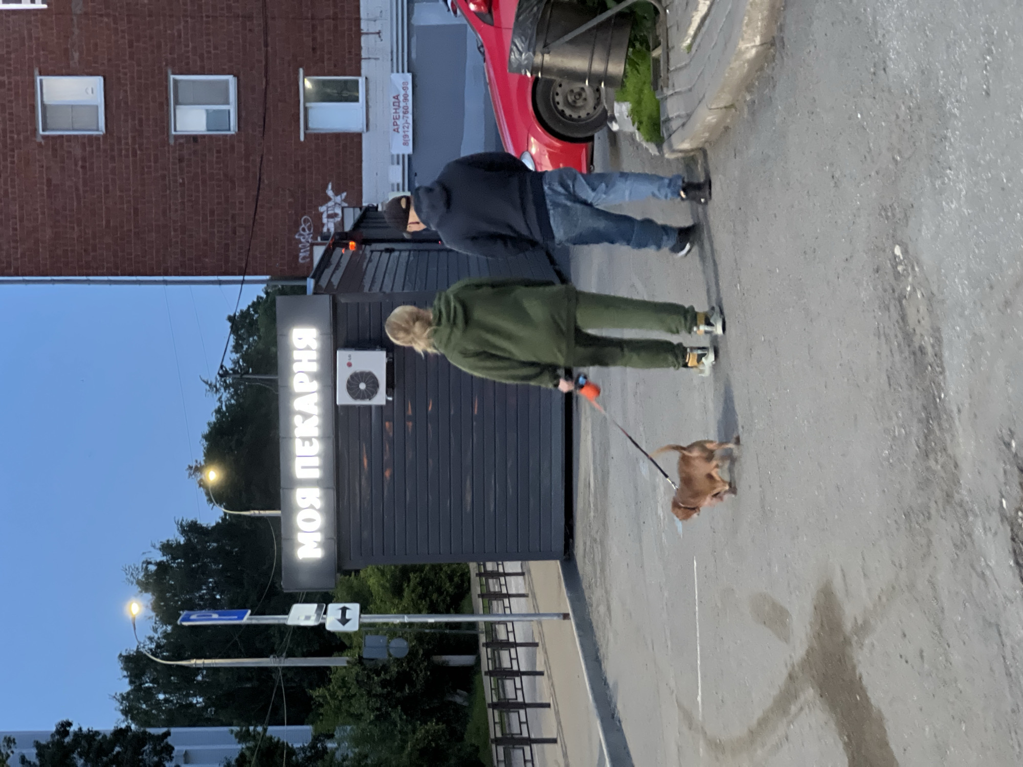 The image depicts an evening scene on a paved surface in Izhevsk, Russia, specifically identified as the vicinity of Voroshilov Street, 48. Two individuals and a small dog are observed walking away from the camera.
The foreground shows an asphalt surface with dark stains or wet patches. A narrow concrete curb separates the asphalt from a small patch of green grass on the right. A black plastic trash bin is positioned on the grass next to the curb.
In the mid-ground, a female figure, clad in a green hooded tracksuit and multi-colored sneakers, walks on the left. Her blond hair is tied back. She holds a bright orange leash attached to a small, short-haired, light brown dog that walks slightly ahead of her. To her right, a male figure walks, wearing a dark blue hooded sweatshirt, blue jeans, dark sneakers, and a dark baseball cap worn backward. Both individuals' backs are largely to the viewer.
To the left of the individuals, a small, dark grey kiosk-style building with horizontal paneling is visible. It features a prominent illuminated sign displaying "МОЯ ПЕКАРНЯ" (MY BAKERY) in white Cyrillic letters. An LG air conditioning outdoor unit is mounted below the sign on the right side of the kiosk. Red warning lights are visible on the side of the kiosk facing the camera.
Behind the kiosk, a multi-story red brick residential building is visible, featuring several white-framed windows. Faint graffiti is present on the lower part of the brick wall near the kiosk. A white sign with red Cyrillic text "АРЕНДА" (RENT) and a phone number "8(912)-760-90-99" is affixed to the brick wall behind a partially visible red car.
Further to the left, a tall pole supports a blue square parking sign with a white 'P' and a white rectangular arrow sign pointing left. Two streetlights with glowing yellow lamps are visible against the pale blue twilight sky, surrounded by dark green tree foliage. A black metal fence lines the left side of the paved area, and a lighter-colored building is partially visible behind trees on the far left.