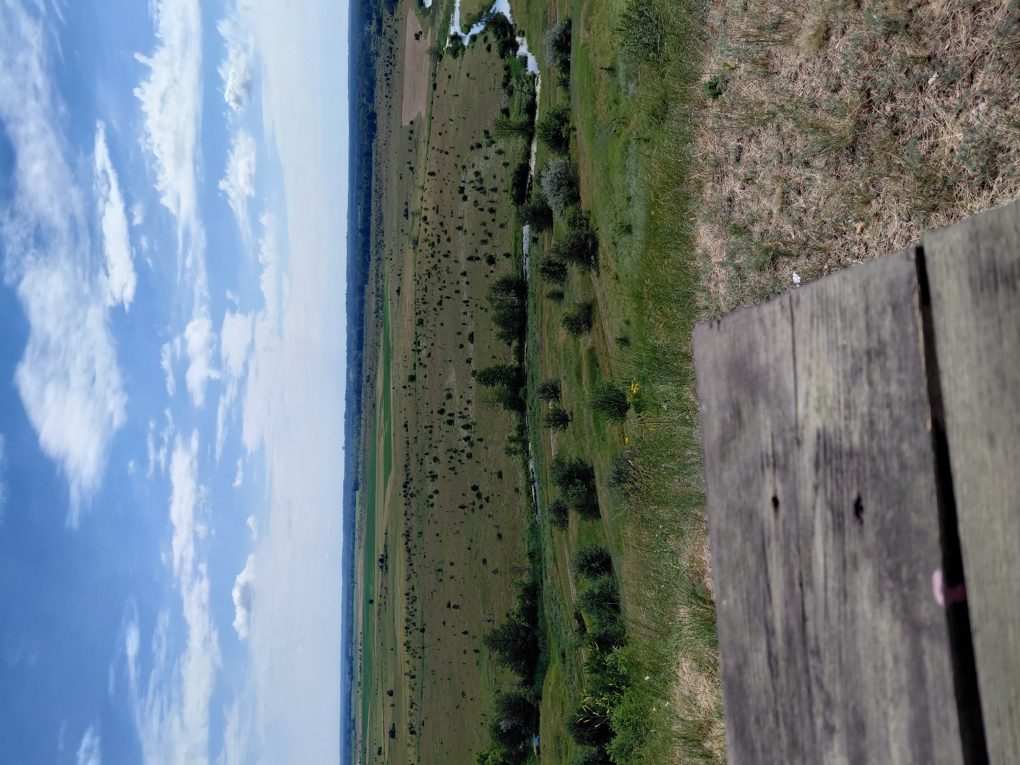 The image shows a landscape view from what appears to be a wooden platform. The scene is divided horizontally into sky and land. The sky is a clear blue with scattered white clouds, suggesting a bright, possibly daytime setting. The land consists of a large, open field with a winding stream or river running through it. There are scattered trees and patches of vegetation, with some areas appearing cultivated and others wild. The foreground is dominated by a weathered wooden surface, possibly part of a bench or railing, which is out of focus.
The image is oriented vertically, making it appear as if the viewer is looking down from a height. The overall impression is one of a serene, natural landscape. There is no visible text or activity taking place. The location cues provided suggest the image was taken in Ustyvytsia, Ukraine. The lighting and cloud cover indicate fair weather, likely during the day.