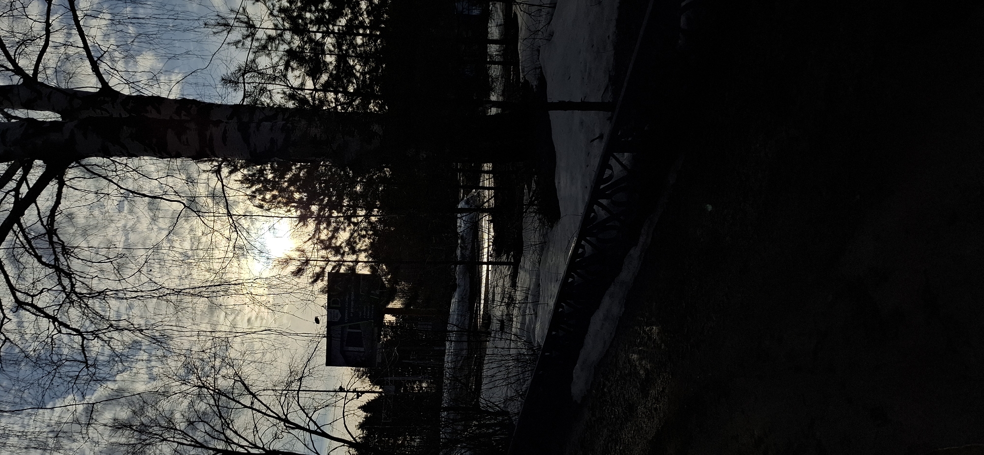 This image depicts an outdoor scene in Chaikovsky, Russia, under conditions consistent with either sunrise or sunset, characterized by a low, bright sun partially obscured by trees and clouds. The sky, seen through bare tree branches, exhibits a mix of light blue and scattered white-grey clouds.
A large birch tree trunk with prominent light-colored bark markings stands vertically on the right side of the frame, its upper portion and branches silhouetted. Numerous other deciduous trees, bare of leaves, and several coniferous trees are visible in the mid-ground and background, all heavily silhouetted against the bright sun.
In the upper-left mid-ground, a large billboard, supported by a pole structure, is silhouetted. The billboard features Cyrillic text, including "СТРОЙКА ИЗ СНА" (Construction from a dream) and "ОТ А-ПРОФИ" (from A-PROFI), with a logo or graphic at its top.
The ground surface reveals irregular patches of melting snow and ice, interspersed with darker, wet areas that reflect glints of light. A dark, horizontal barrier or fence with a decorative, repeating pattern is situated in the lower mid-ground. The immediate foreground is a dark, indistinct ground surface. No individuals, animals, or vehicles are present. The scene suggests a cold weather period, likely late winter or early spring.