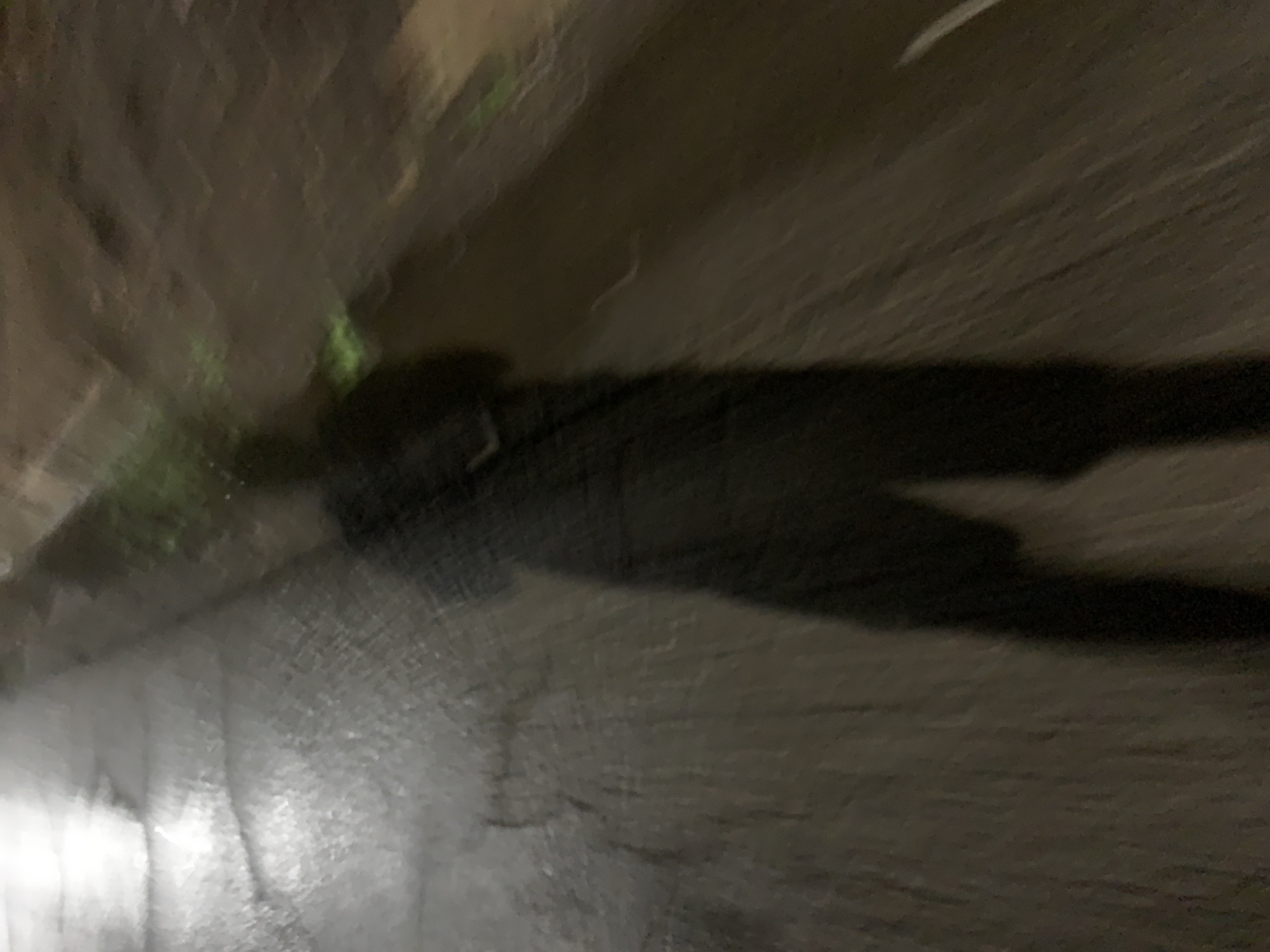 The image displays a low-light, motion-blurred outdoor scene within the city of Altagracia, Venezuela. A dark, human-shaped silhouette occupies the central and lower portion of the frame, its form consistent with an individual standing or walking. The ground surface is paved, exhibiting significant specular reflections on the left, indicative of a wet condition. Faint textural irregularities, possibly cracks or seams, are discernible on the pavement. To the right and upper right of the silhouette, the terrain is darker and less uniform, with minimal, indistinct green vegetation. The scene is dimly illuminated, with a primary light source located off-frame to the upper left, responsible for the ground reflections and the silhouetted outline of the central figure. The pervasive blur across the image suggests either camera movement, subject movement, or a prolonged exposure due to ambient light scarcity.