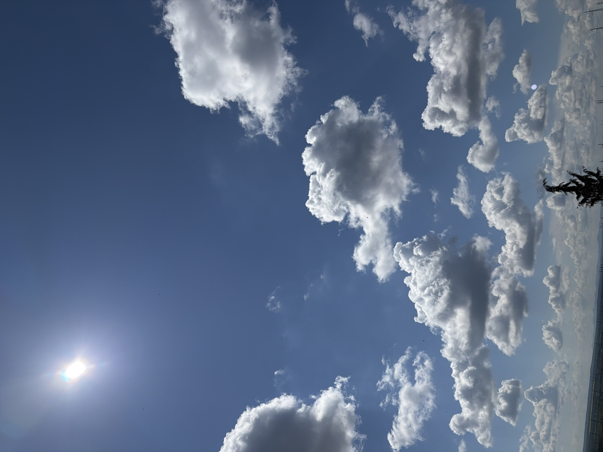 The image, when viewed in its correct orientation, captures a bright daytime sky dominated by a deep blue expanse dotted with numerous cumulus clouds. The sun is prominently featured in the upper left, emitting a strong, radiant glow with lens flare.
The sky is a clear, vibrant blue, acting as a backdrop for the scattered clouds. These clouds vary in size and shape; some are brilliant white and fluffy, while others exhibit darker gray undersides, indicating their depth and the way sunlight interacts with them. A distinct partial silhouette of what appears to be a tree or dense foliage is visible in the lower right corner, extending into the frame. Along the distant right horizon, faint, indistinct structures resembling power lines or towers can be discerned against a lighter blue sky. Small, dark specks, possibly birds or insects, are visible against the clear sky in several areas.
The scene depicts fair weather conditions, characteristic of a sunny day, likely during late morning or early afternoon given the sun's brightness and angle. There is no specific activity or event taking place, and no discernible text is present within the image.