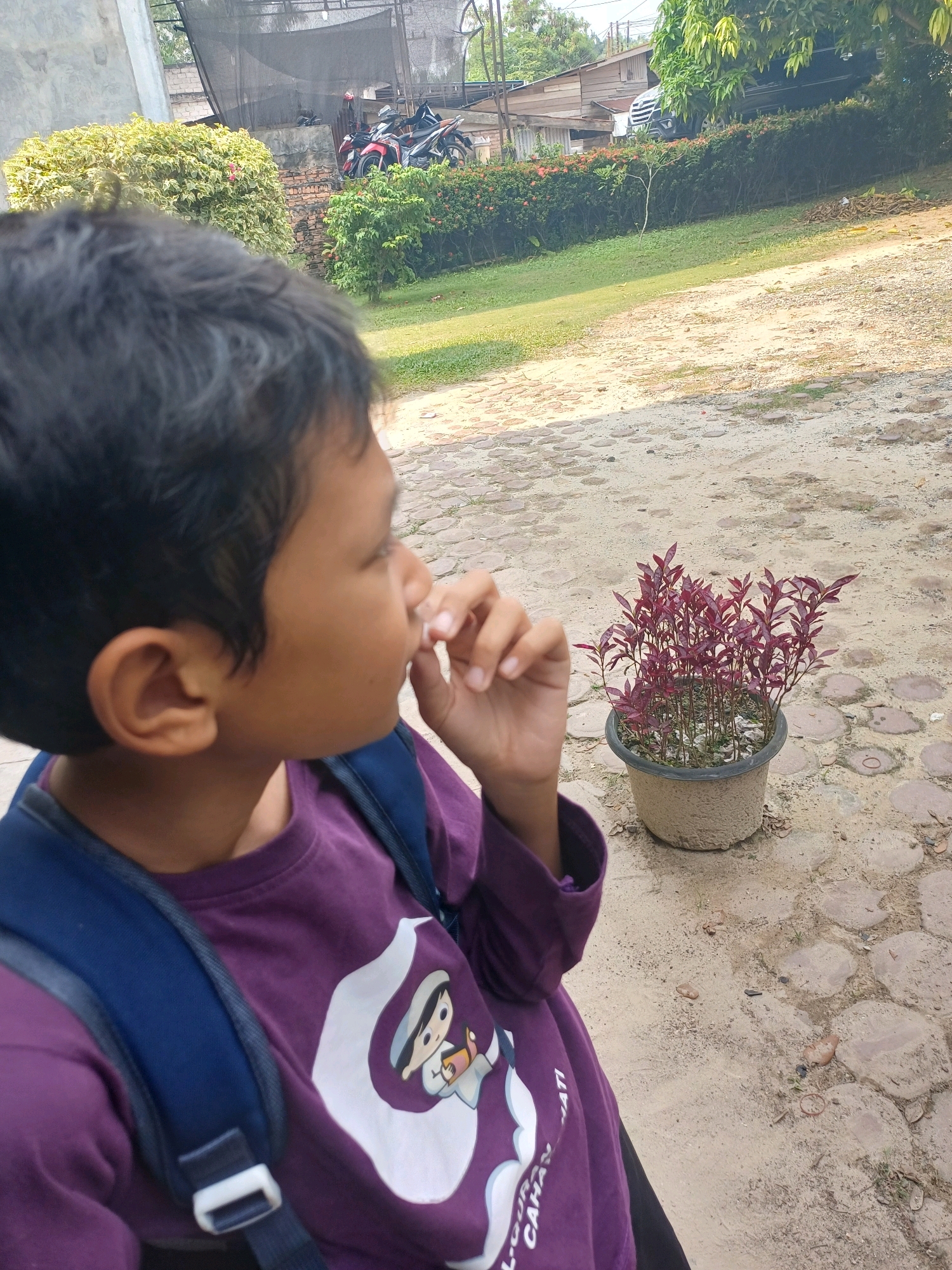 A young boy wearing a purple t-shirt with a cartoon character and a dark blue backpack stands on a dirt path paved with rough, irregular stones. He is looking to his right, with his right hand near his mouth. In the background, a potted plant with deep red leaves sits on the ground. Further back, there is a grassy area with bushes and some red flowers. Beyond the greenery, there are buildings, including a wooden structure, and parked motorcycles. The scene appears to be outdoors in a residential or semi-rural area in Dumai City, Indonesia, with a clear sky and bright sunlight casting shadows.
