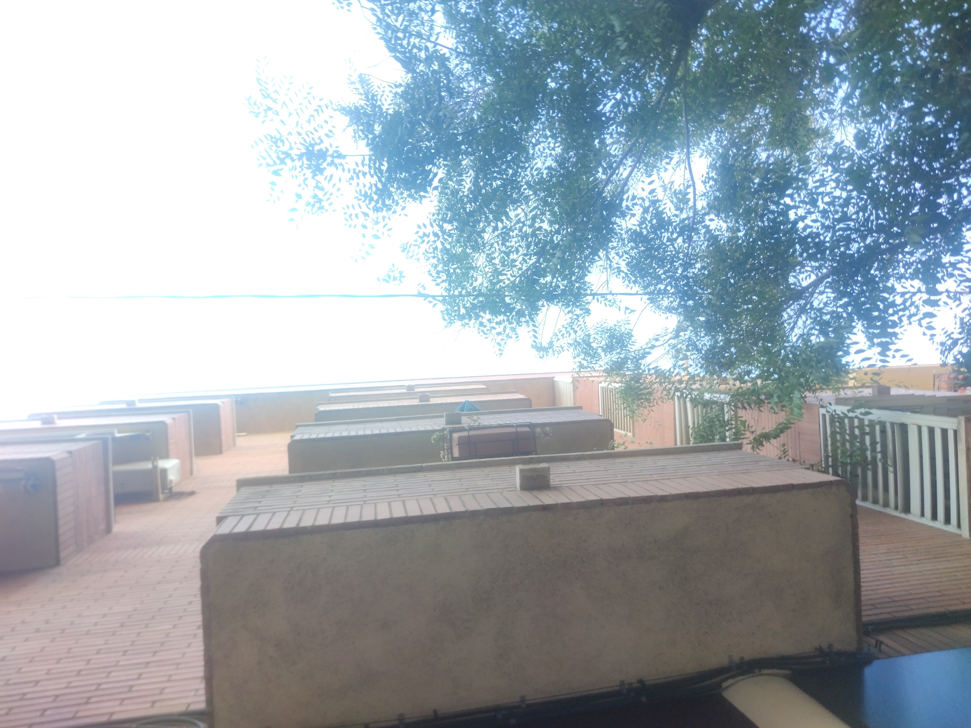 The image presents a low-angle view of an urban environment, seemingly looking upwards towards a multi-story building. The building's facade is characterized by multiple protruding structures, possibly balconies or air conditioning units, constructed from a combination of brick and concrete. The sky is visible but obscured by dense tree foliage in the upper right quadrant of the image. The lighting is bright, suggesting daylight. No people or distinct actions are visible. The location within the city is unknown, and the broader environment is limited to the building's exterior and the overhead trees.