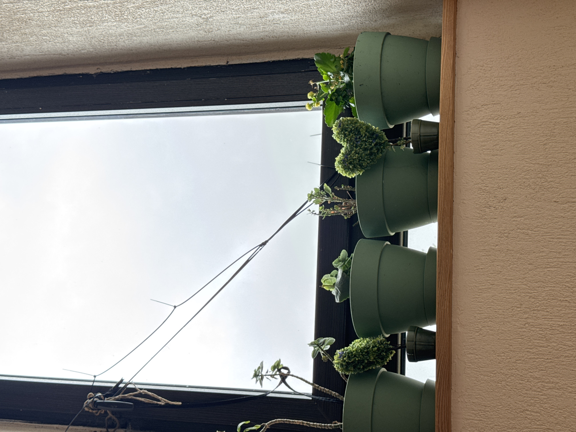 The image shows a vertical garden setup indoors, positioned against a window. The garden consists of several green pots stacked vertically and containing various plants. The plants range from small, leafy greens to longer, trailing vines. The pots are mounted on a wooden frame attached to a wall. The wall is painted in a light beige color. The window reveals an overcast sky with diffused daylight. In front of the window, a dark-colored frame or ledge is visible with a few objects attached to it, possibly related to plant support or decor. The location is impossible to determine from the given information. The image does not show any indications of the city of Sofia, Bulgaria. There is no explicit information about the scene from which to gather such data.