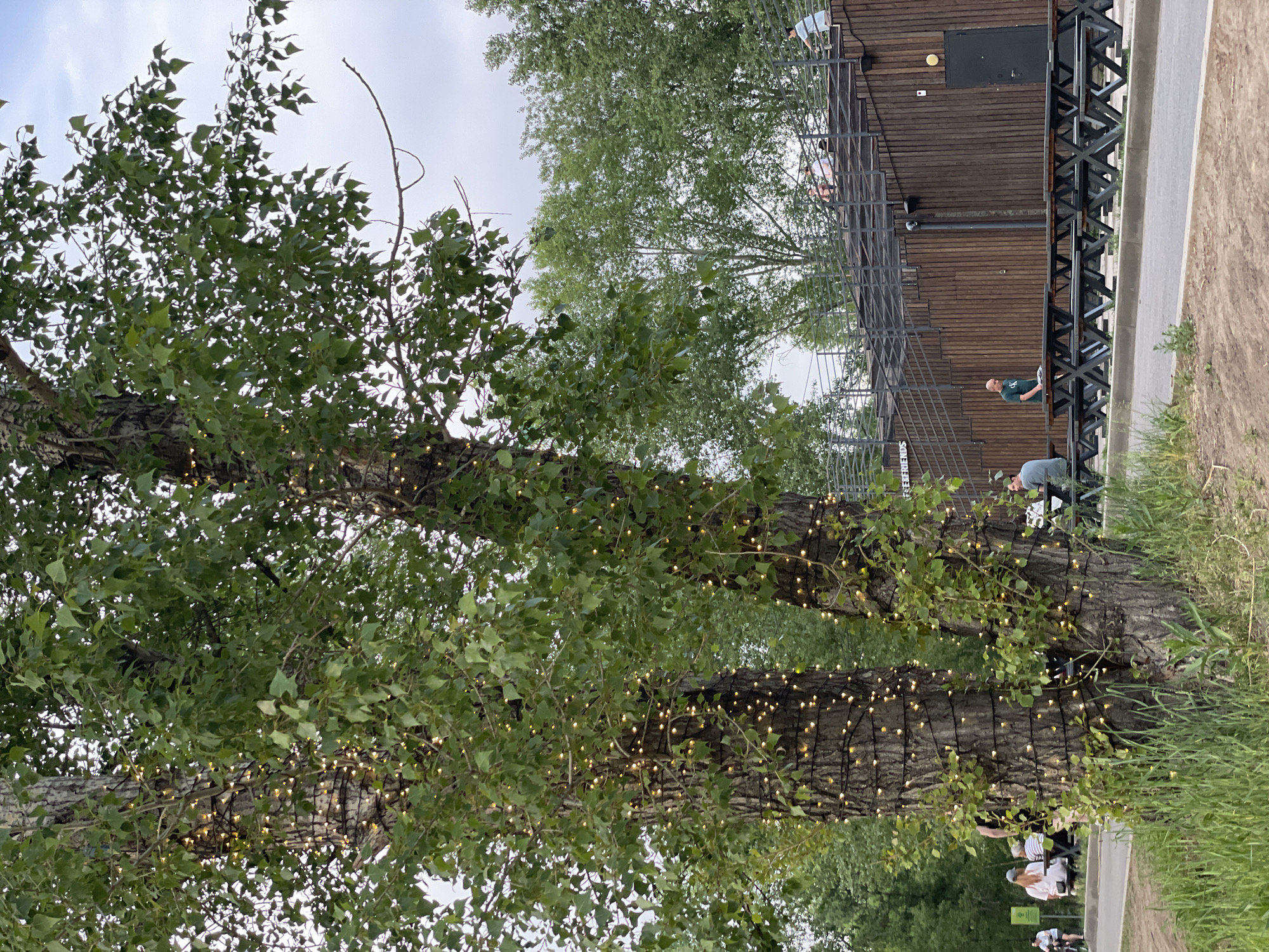 The image depicts a park setting in Krasnoyarsk, Russia, featuring two large trees adorned with strings of small, warm-toned lights. The trees are in the foreground, with their trunks wrapped in the lights and their green foliage abundant. Behind the trees, a modern wooden structure with tiered seating and metal railings is visible. Several people are present in the scene. In the mid-ground, a group of individuals is seated at picnic tables. Further back, on the tiered seating area, a few people are walking or sitting, and one person is standing near the railing. The environment suggests an outdoor recreational or gathering space, possibly a cafe or park lounge area, given the picnic tables and the tiered structure which resembles an amphitheater or a viewing deck. The overall atmosphere appears relaxed and public.
