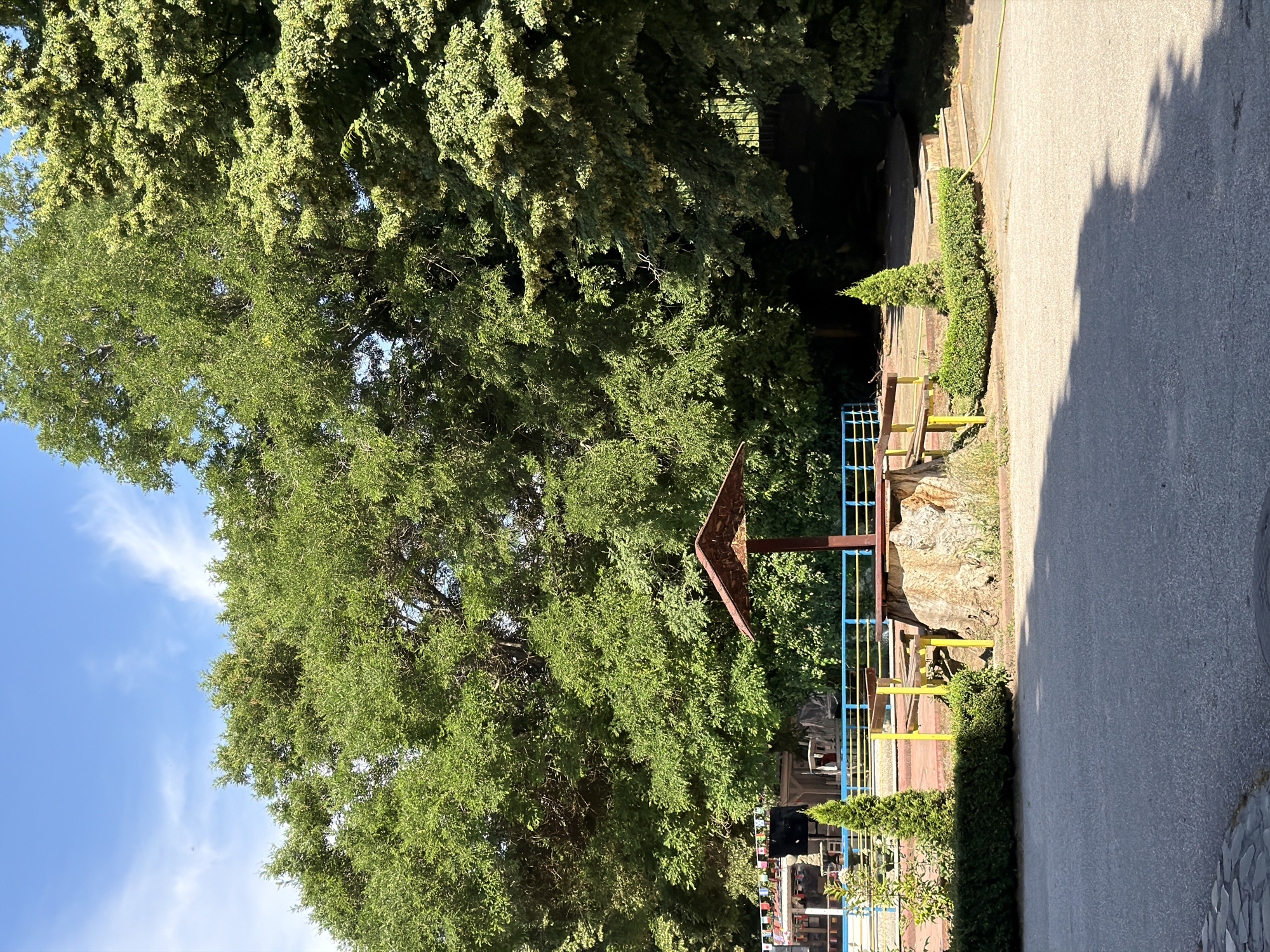 A bright, sunny day illuminates a park area with mature trees dominating the background. In the foreground, a paved area transitions to a more natural landscape. A wooden structure with a brown, triangular roof sits atop a large tree stump, supported by brown posts. Yellow benches are attached to the sides of the stump. Two small, conical evergreen trees flank the stump. Behind this, a blue and yellow railing separates the seating area from a level ground with more trees. A building with decorative flags is visible to the left. Steps lead up to a dark, shaded area on the right. The overall impression is of a relaxed outdoor public space.