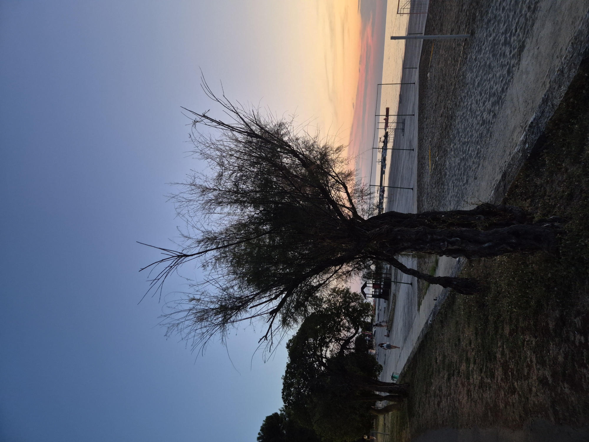 The image shows a beach at dusk in Katoro, Croatia. The sky is a gradient of deep blue to soft orange and pink hues. A tree with sparse, wispy branches dominates the foreground, its trunk gnarled and dark. To the left, a paved path winds alongside a grassy area where other trees are visible. Beyond the path is the sandy beach, with a volleyball net set up. In the distance, the calm sea meets the horizon, reflecting the colors of the sunset. A small wooden structure, possibly a playground or changing room, is situated near the beach. A few people are walking along the path, and some boats are docked in the water. The overall atmosphere is serene and peaceful, with the fading light casting long shadows and creating a tranquil mood.