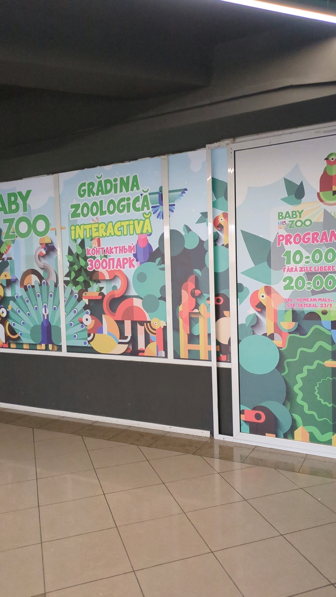 The image shows a brightly colored mural or signage on a wall, likely at the entrance to a zoo or animal attraction. The signage features cartoonish depictions of various animals, including a peacock, flamingos, parrots, and other birds. The text on the signage is in Romanian and Russian, indicating a location in a region where both languages are used. Specifically, the Romanian text reads "GRĂDINA ZOOLOGICĂ INTERACTIVĂ" which translates to "Interactive Zoo," and the Russian text reads "КОНТАКТНЫЙ ЗООПАРК" which also means "Contact Zoo."
One section of the signage has text related to a "PROGRAM" with times listed as "10:00" and "20:00," and further text indicating "FĂRĂ ZILE LIBERE" (no days off). Another part of the signage has text that appears to be an address: "SRL HO.ME ANIMALS,, STR. DECEBAL, 23/1". Decebal Street is a well-known street in Chișinău, Moldova. Therefore, this signage is likely located at the "Home Animals" contact zoo on Decebal Street, number 23/1, in Chișinău, Moldova. The environment appears to be an indoor or covered walkway, with tiled flooring visible in the foreground. The overall impression is of an advertisement for a family-friendly animal attraction.
