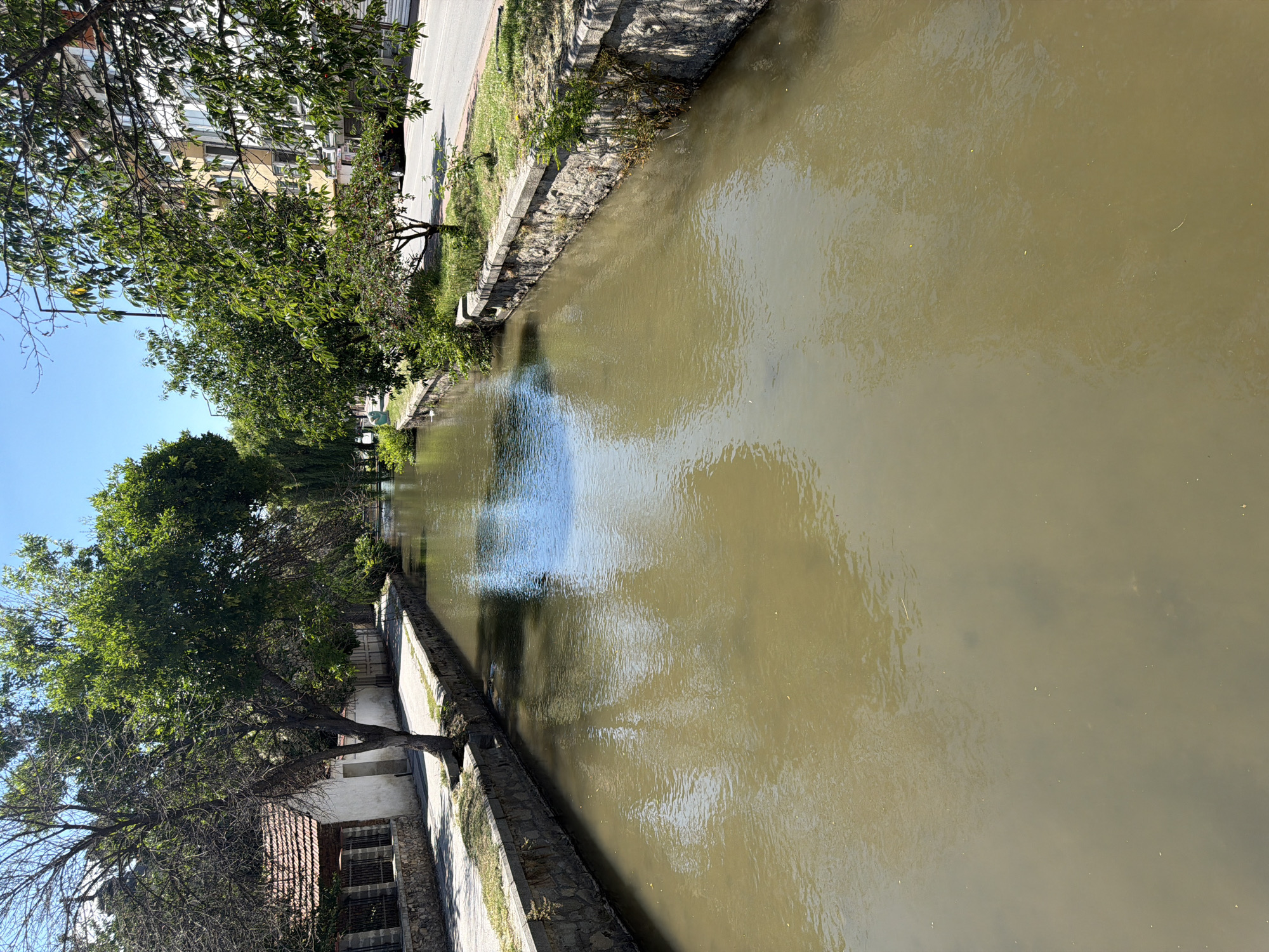 The image shows a canal or river flowing through an urban area, likely in Pazardzhik, Bulgaria, given the context. The water is a murky brown color, reflecting the blue sky and green foliage from the trees lining its banks. On the left side of the canal, there is a paved walkway with a stone retaining wall, leading past a white building with a terracotta-tiled roof and a fence. Mature trees with dense green leaves overhang the walkway and the water. On the right side of the canal, the bank is also lined with a stone wall and a strip of grass, followed by a road and a multi-story building with yellow and white facades. The scene appears to be a sunny day. There are no people clearly visible in the image.