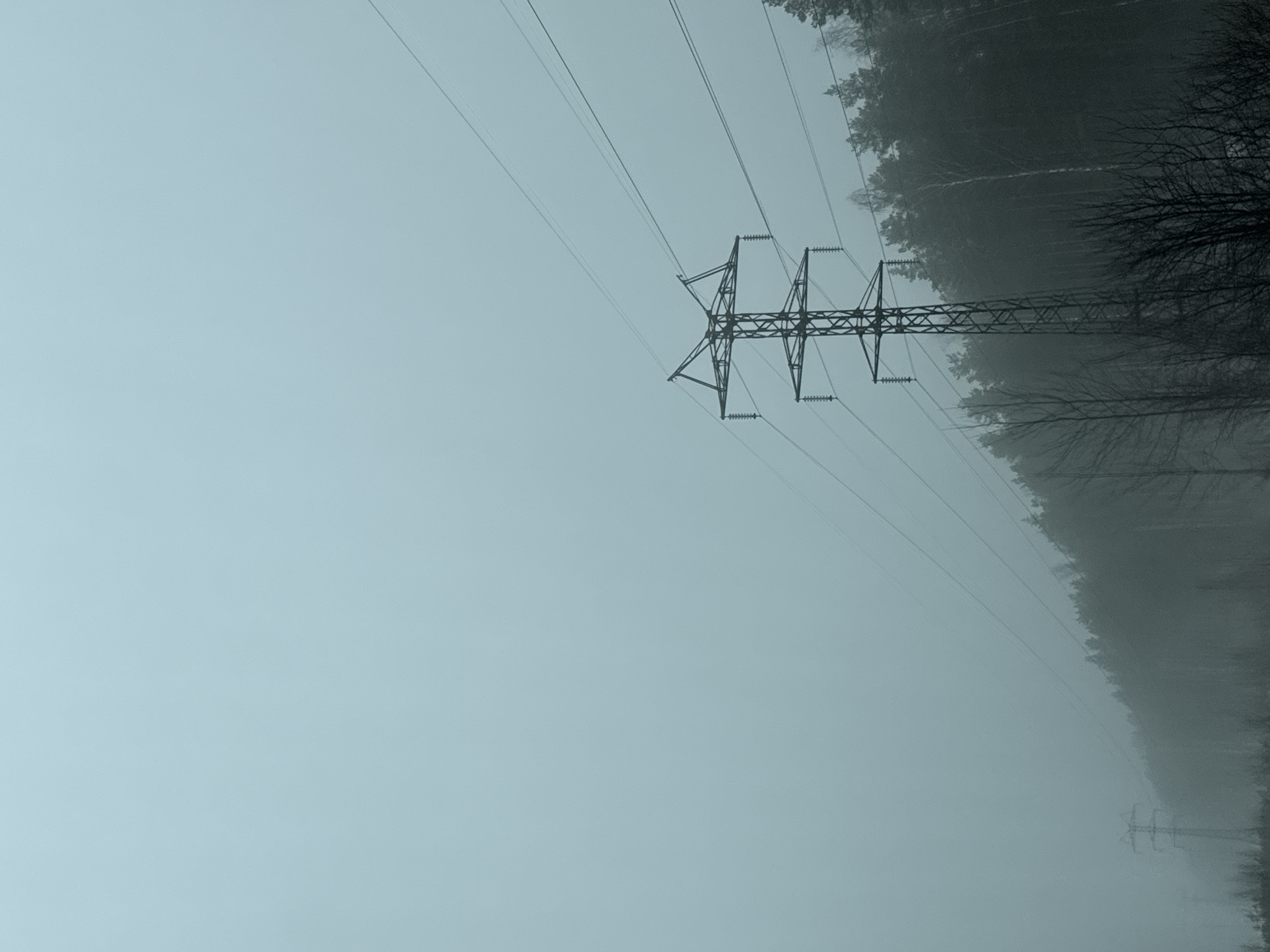 The image depicts an overcast scene of power lines and towers traversing a forest area, possibly in Novyi, Russia. The sky is a uniform pale blue, indicating a heavy layer of cloud cover or fog. A metal power line tower stands prominently, its lattice structure clearly visible, supporting several high-tension wires that stretch across the frame. The wires lead into a dense, dark forest, the trees of which are shrouded in mist, obscuring their details. Another power line tower is faintly visible further into the background. The scene conveys a sense of isolation and industrial encroachment into nature. There are no people visible in the image.