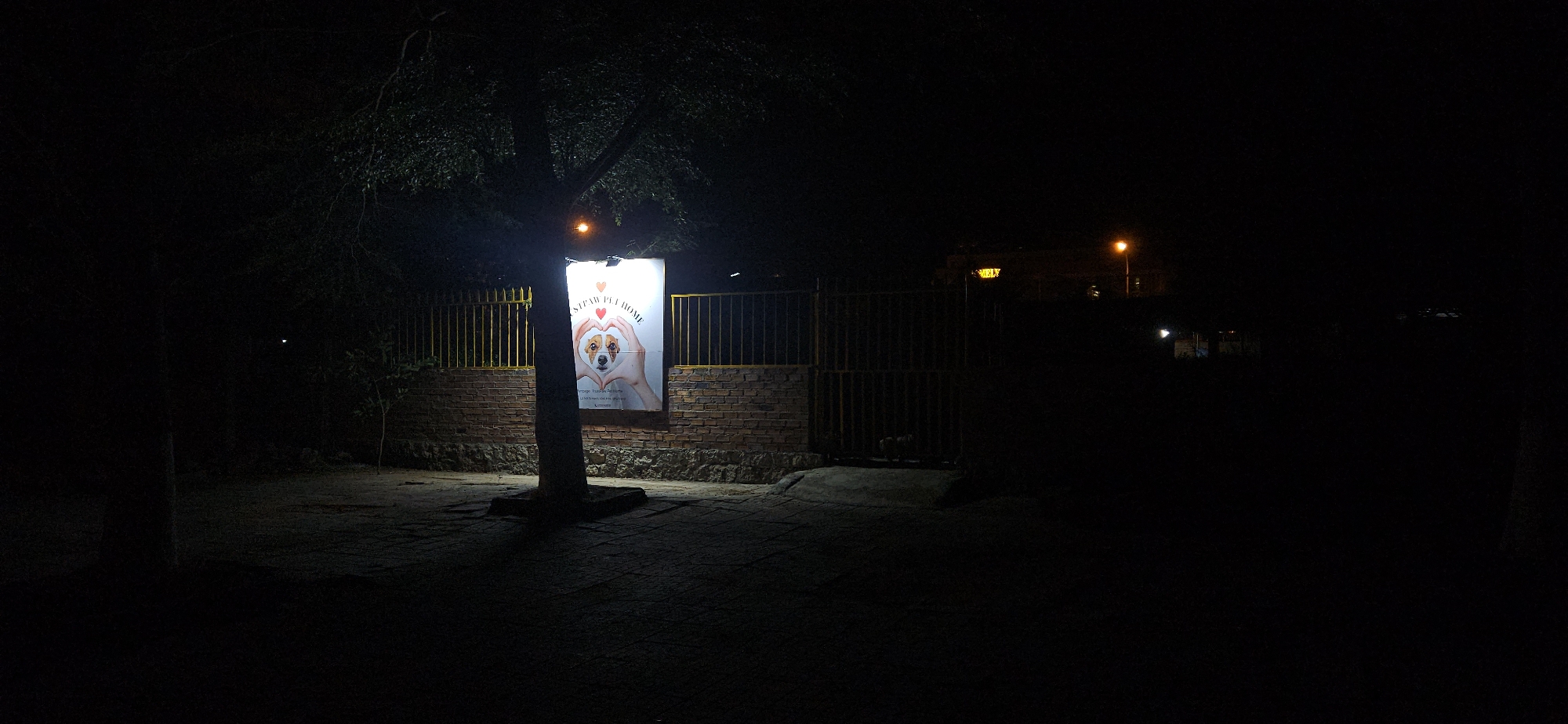 The image depicts a dimly lit outdoor scene at night in Bac Nha Trang Ward, Vietnam. The central feature is a brightly illuminated rectangular billboard advertising "STRAY PET HOME." The sign displays a small, light-colored dog, likely a terrier, framed by two hands forming a heart shape. A red heart icon is also visible near the top of the sign. Accompanying text encourages "responsible pet ownership" and "pet adoption," stating, "Let's help them find a loving home."
A large, dark tree trunk stands in front of the billboard, partially obscuring its lower part. Behind the sign, a low brick wall supports a yellow metal fence or gate that extends to the right. The foreground features a dark, paved surface made of interlocking bricks.
The overall scene is dark, illuminated primarily by the billboard and a distant orange street lamp visible on the right. Faint lights from unseen buildings are discernible in the far background. No people or live animals are visible, creating a quiet and solitary atmosphere. The time of day is night, with no indications of adverse weather. The image conveys a message of care and support for stray animals.