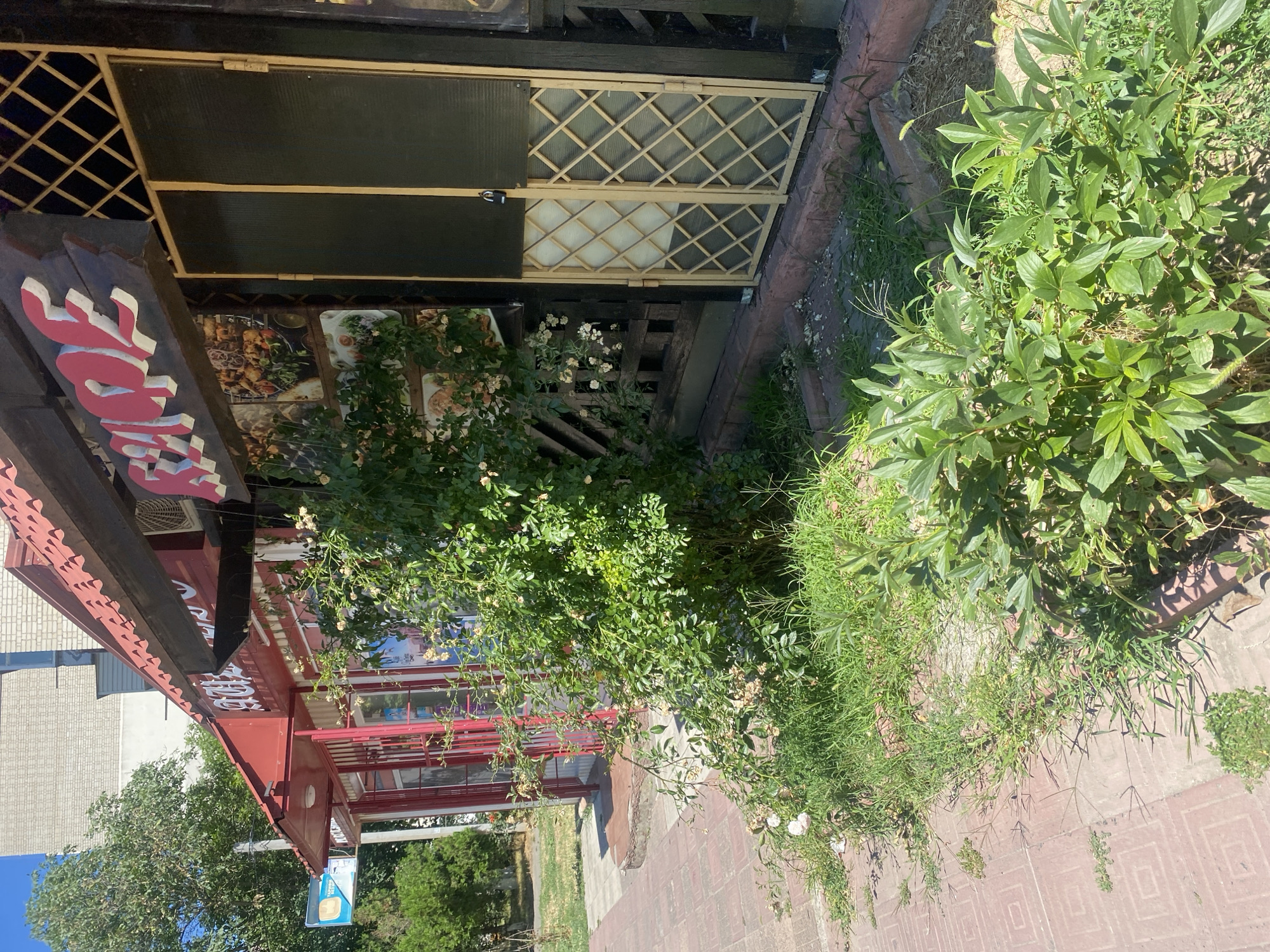 The image captures a storefront in Chornomorsk, Ukraine, on a sunny day. The storefront features a red awning over a sidewalk paved with red square tiles arranged in a diamond pattern. Adjacent to the sidewalk is an area with overgrown green grass and a rose bush with small white flowers. Behind the bush, a dark wooden structure with a diamond-patterned screen covers glass doors. A sign with raised, painted letters reading "КАФЕ" (Cafe) is visible above the doors. The building behind the storefront is a light-colored brick structure. The scene appears to be an outdoor seating area or an entrance to a cafe.