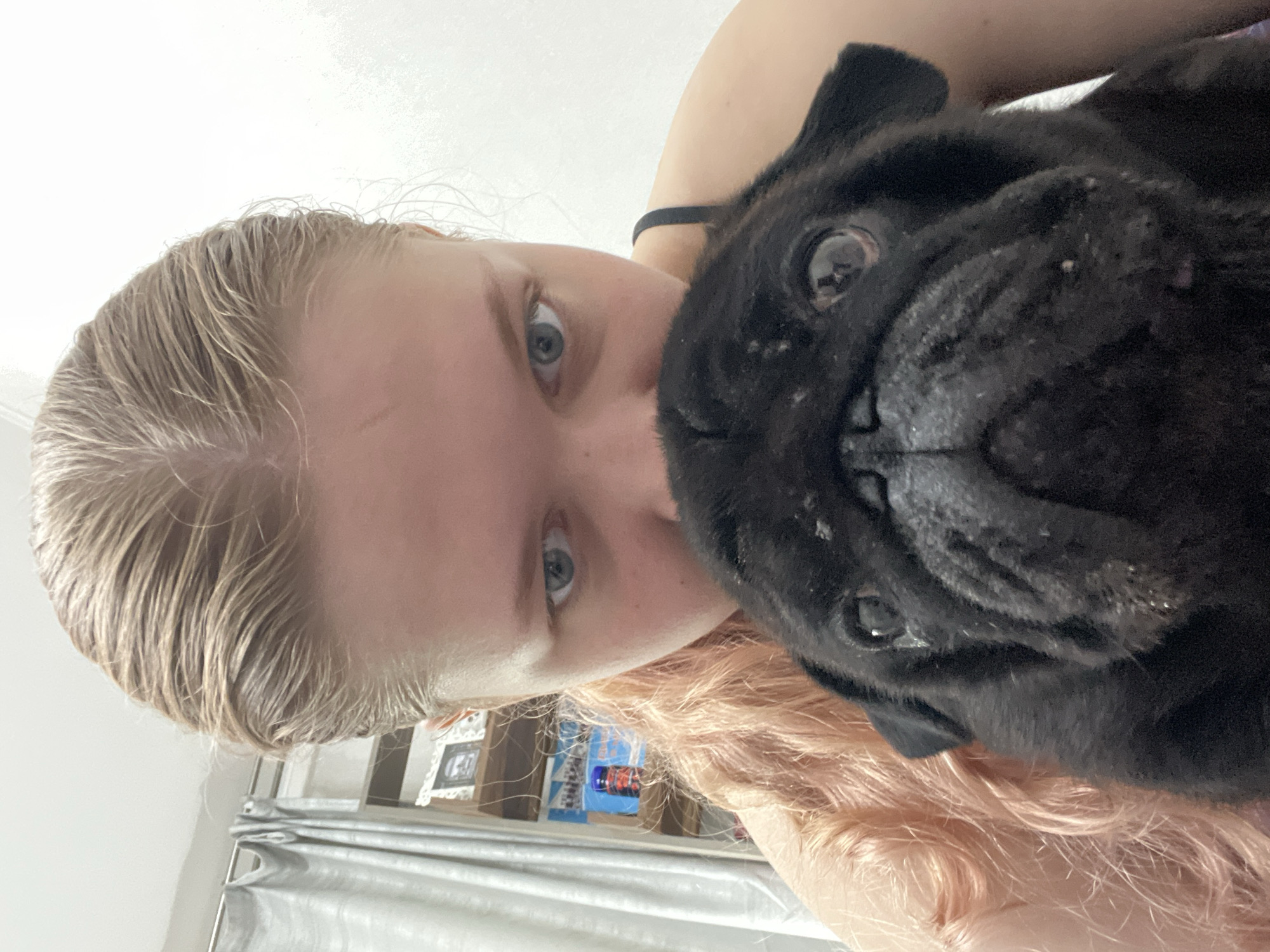 A close-up, intimate portrait captured indoors in Perm, Russia, shows a person and a black pug in extremely close proximity, likely a selfie, with the image rotated ninety degrees clockwise. The person, positioned on the left side of the frame, has fair skin, light blonde hair that appears wet or styled with product on the top part of their head, and striking blue eyes. Only the upper half of their face, including their eyes, nose, and a portion of their cheek, is visible, looking directly at the camera. Their longer hair, visible towards the bottom right, has a slight reddish hue.
Adjacent to the person, and filling a significant portion of the right side of the frame, is a black pug. The dog's face is prominent, featuring large, dark eyes also gazing towards the camera, a characteristic wrinkled snout, and part of an ear. Its black fur appears to have some lighter specks, possibly dust or lint.
The background is predominantly bright white, suggesting a well-lit indoor environment. Hints of domestic elements are visible, including what looks like part of a curtain or blinds and faint outlines of shelves with small, indistinct objects. The overall impression is one of affectionate closeness between the person and their pet. No visible text is discernible in the image.