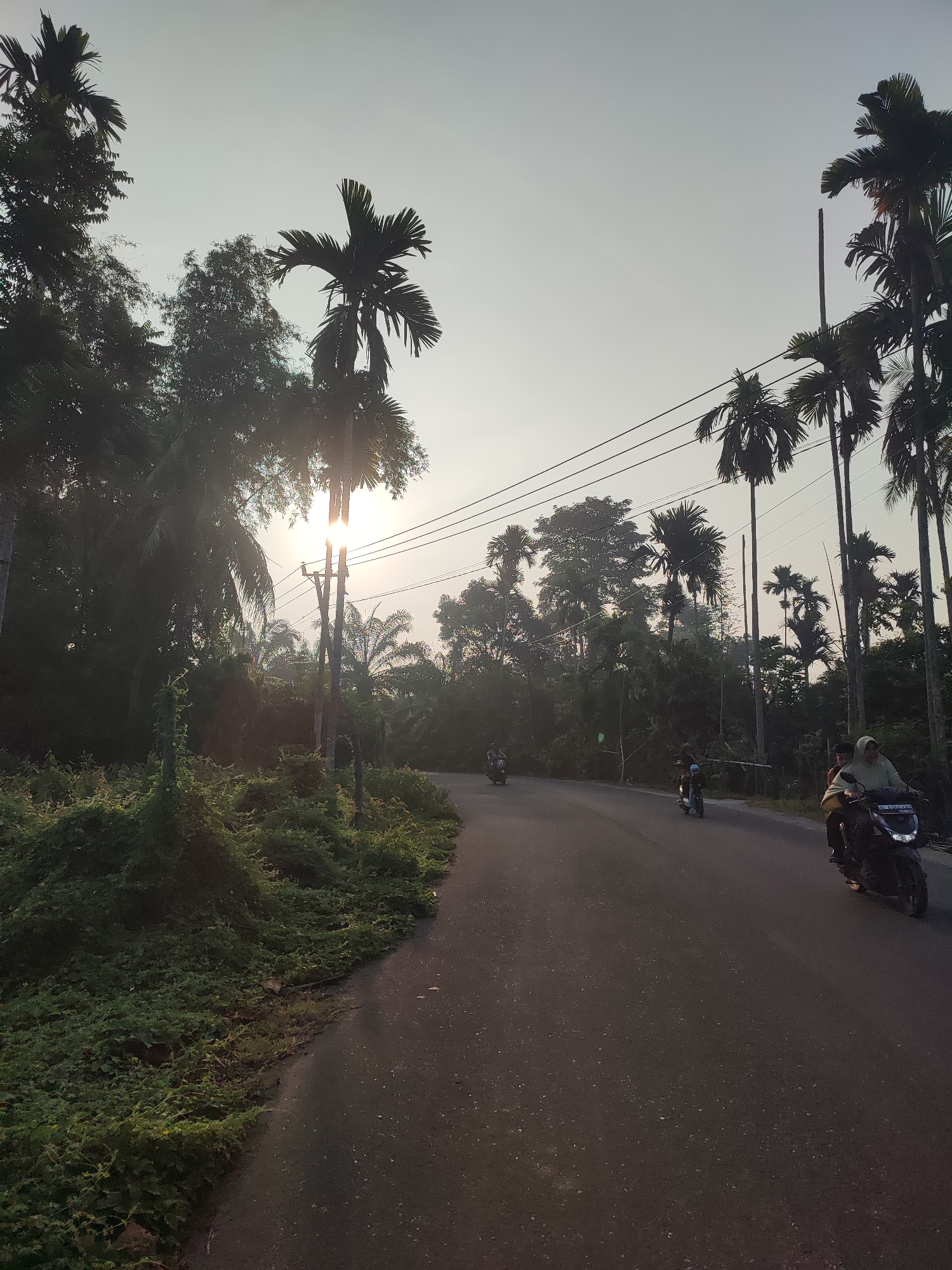 The image captures a rural or semi-rural road scene in Pantonrayeuk Satu, Indonesia, likely during the early morning or late afternoon. The sun, low in the sky, creates a bright sunburst effect as it shines through dense foliage on the left side of the winding paved road.
The left side of the road is heavily covered in lush green vegetation, including thick ground cover, climbing vines, and numerous trees. Several tall palm trees, possibly Areca palms, stand prominently against the sky. On the right, utility poles with power lines run alongside the road, framed by more palm trees and other dense greenery in the background.
Three individuals are visible on motorcycles, traveling along the road. In the foreground on the right, a person wearing a light-colored headscarf (hijab) and clothing is riding a dark-colored scooter/motorcycle. A passenger is partially visible behind them. The motorcycle's license plate "BL 4166 KAA" is visible. Further down the road, another person rides a blue scooter, and a third, smaller scooter is seen in the distance. The overall impression is one of daily life in a tropical, green environment with a strong natural light source.