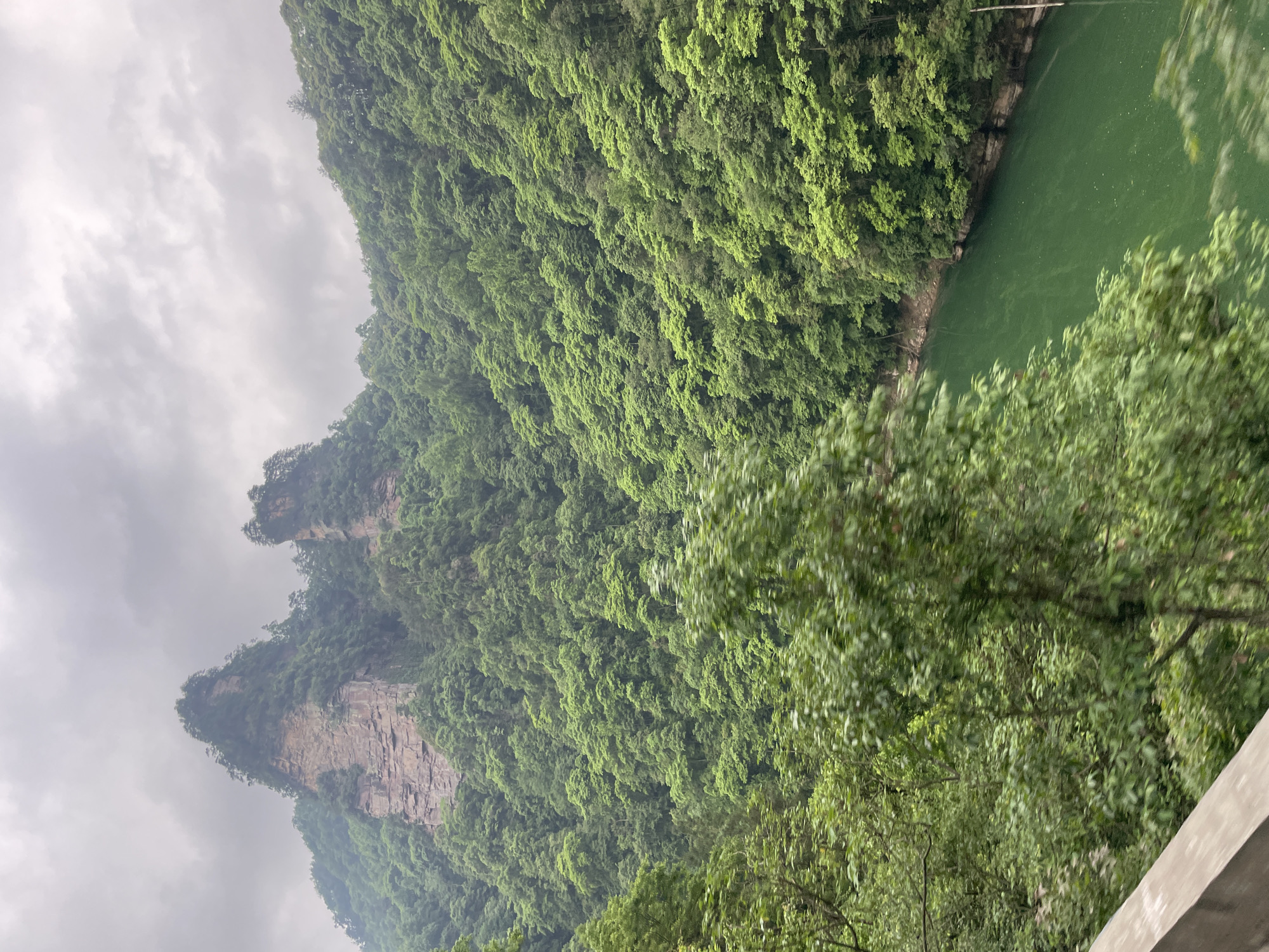The image shows a landscape in Wulingyuan, China. A steep, densely forested hillside rises on the left, transitioning to exposed rock formations near the top. Lush green foliage covers the majority of the scene, while on the upper right a body of water is visible. A portion of concrete barrier is visible on the bottom of the frame. Overcast skies are visible in the upper-left of the frame.