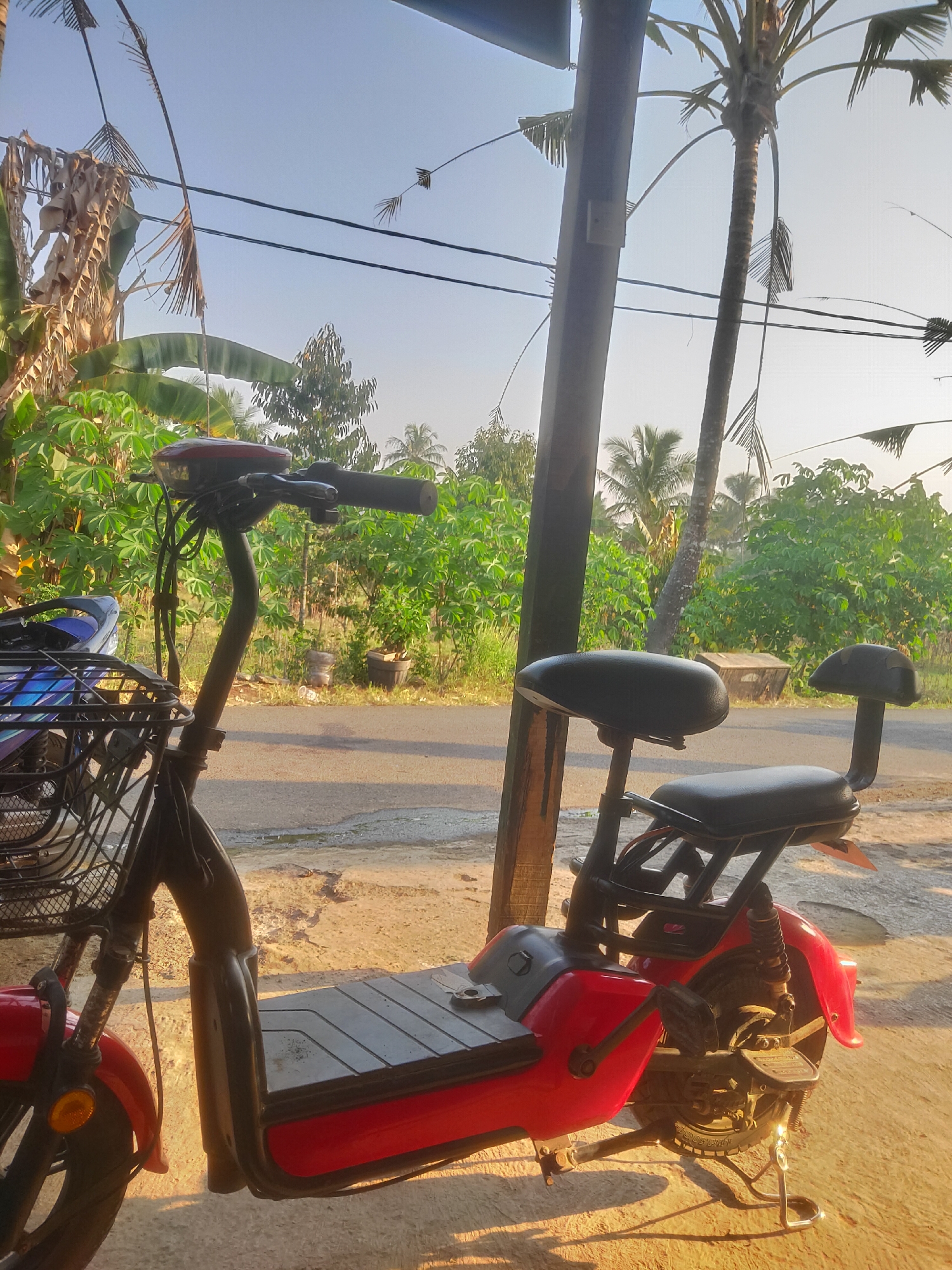 This is a photograph of a red electric scooter parked outdoors in Serut, Indonesia. The scooter is positioned in the foreground, facing left. It has a black seat, a basket at the front, and a kickstand deployed. In the background, there is a paved road, lush green vegetation including palm trees and what appear to be cassava plants, and a clear sky. The lighting suggests it is either early morning or late afternoon, with the sun casting long shadows and highlighting the warm tones of the scene. There are no people visible in the image. The overall environment appears to be rural or semi-rural, characteristic of many areas in Indonesia.
