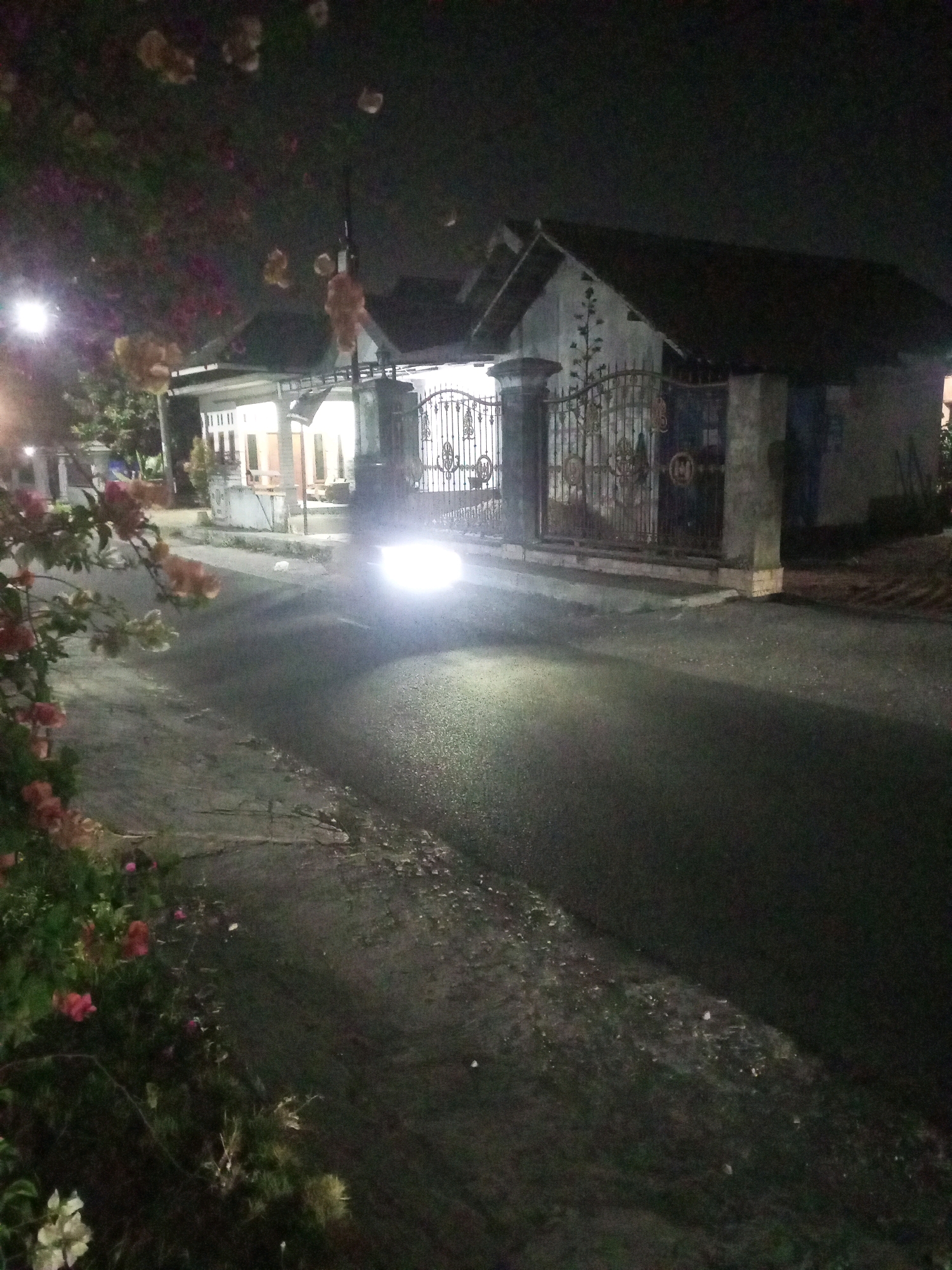 The image depicts a street scene at night in Ngasem, Indonesia. A vehicle's headlights illuminate the asphalt road. To the right, a house with an ornate metal gate is visible. The house appears to be illuminated from within. On the left side of the road, there are flowering plants with pink and white blossoms, and some foliage. The overall impression is of a residential street at night, with a single vehicle present.