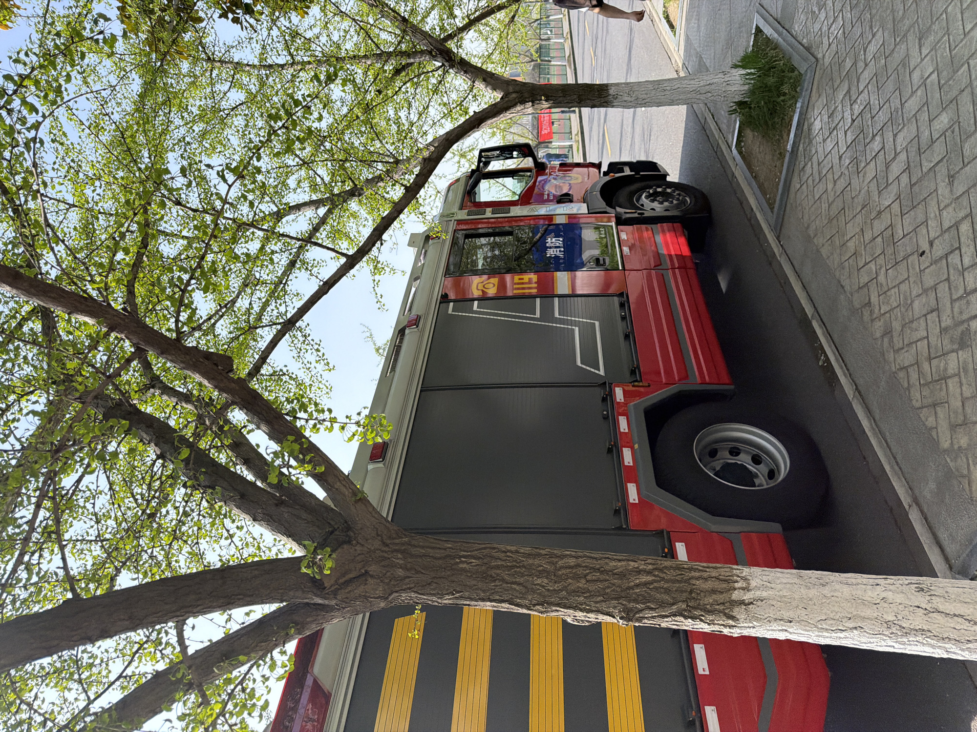 A red and gray fire truck is parked on a paved street in Jiangning District, China. A tree with light green leaves partially obscures the view of the truck. The truck has "119" painted in yellow lettering on its side, with Chinese characters above. The truck's tires are visible, and a person is seen walking away in the distance on the sidewalk next to the truck. The sidewalk is gray brick. The environment appears to be urban, with blue sky visible through the tree branches.
