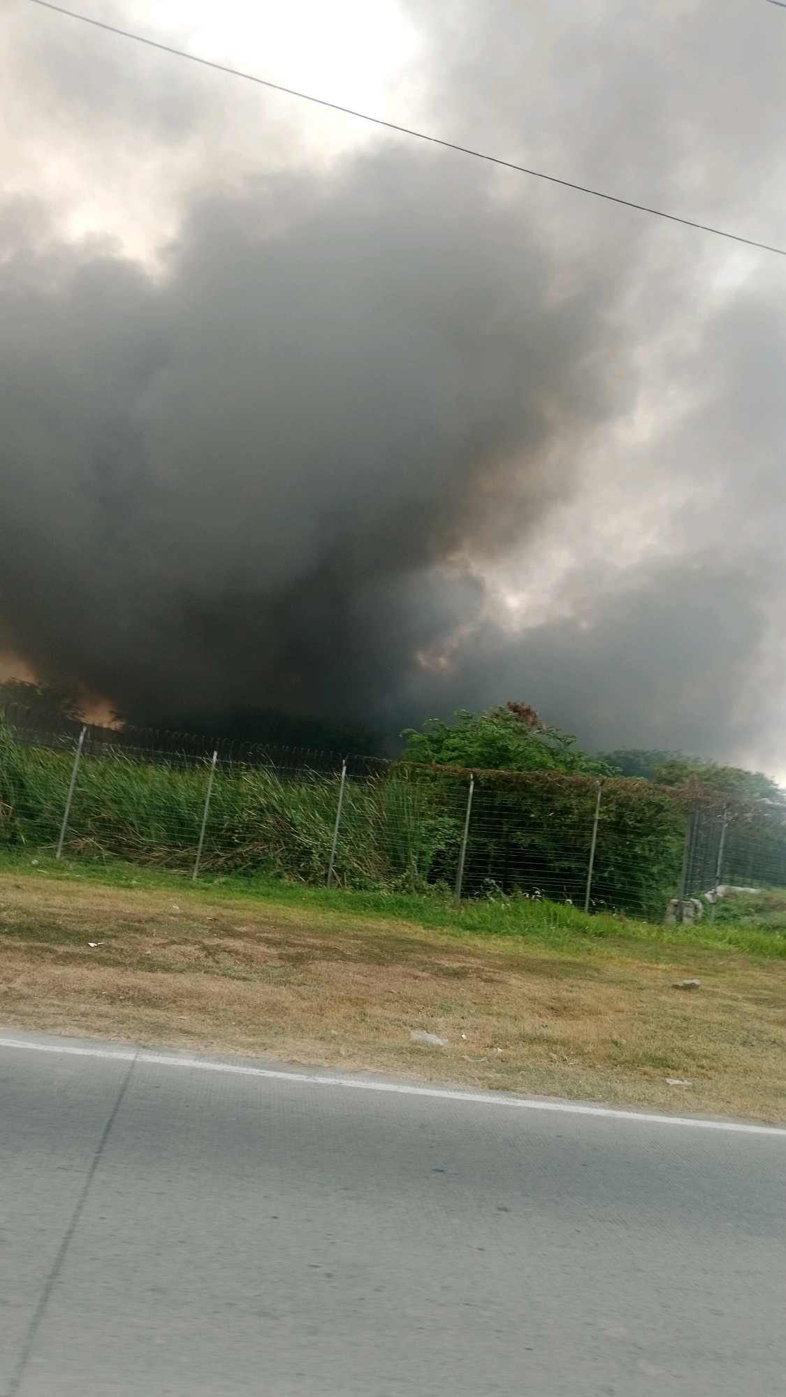 A wide shot captures a dense column of black smoke billowing into the sky, obscuring a portion of the horizon. The smoke appears to originate from behind a chain-link fence that runs horizontally across the mid-section of the image. Beyond the fence, lush green vegetation and trees are visible, with some areas showing hints of orange and red, suggesting the presence of flames or burning material. The foreground features a dry, grassy embankment adjacent to a paved road, indicating an outdoor, possibly rural or semi-rural, environment. The lighting suggests it may be daytime, though the heavy smoke significantly darkens the sky in its vicinity. No people or specific structures are clearly identifiable within the immediate vicinity of the smoke plume, though there are some indistinct shapes behind the fence that could be industrial equipment or buildings. The scene conveys a sense of an active fire, generating a substantial amount of smoke in what appears to be the outskirts of Tangerang, Indonesia.