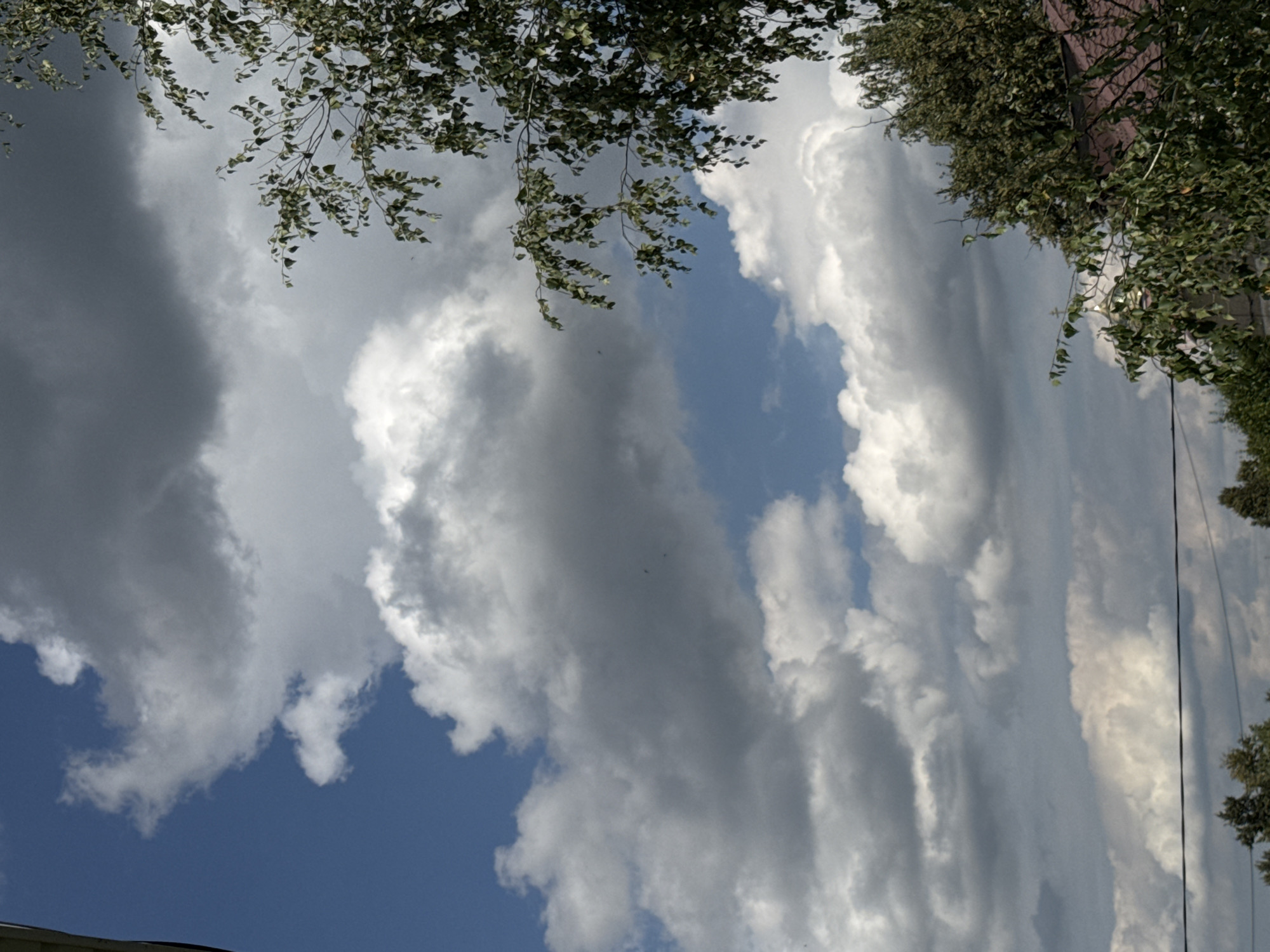 A low-angle, outdoor, medium shot captures a partially clouded sky with a clear blue sky visible between the clouds. A portion of a tree with green leaves and thin branches extends from the right side of the frame, partially obscuring the sky. In the lower portion of the image, a dark wire runs horizontally across the frame, with the tops of trees and the corner of a red-roofed building visible beneath it. The overall lighting suggests it is daytime.