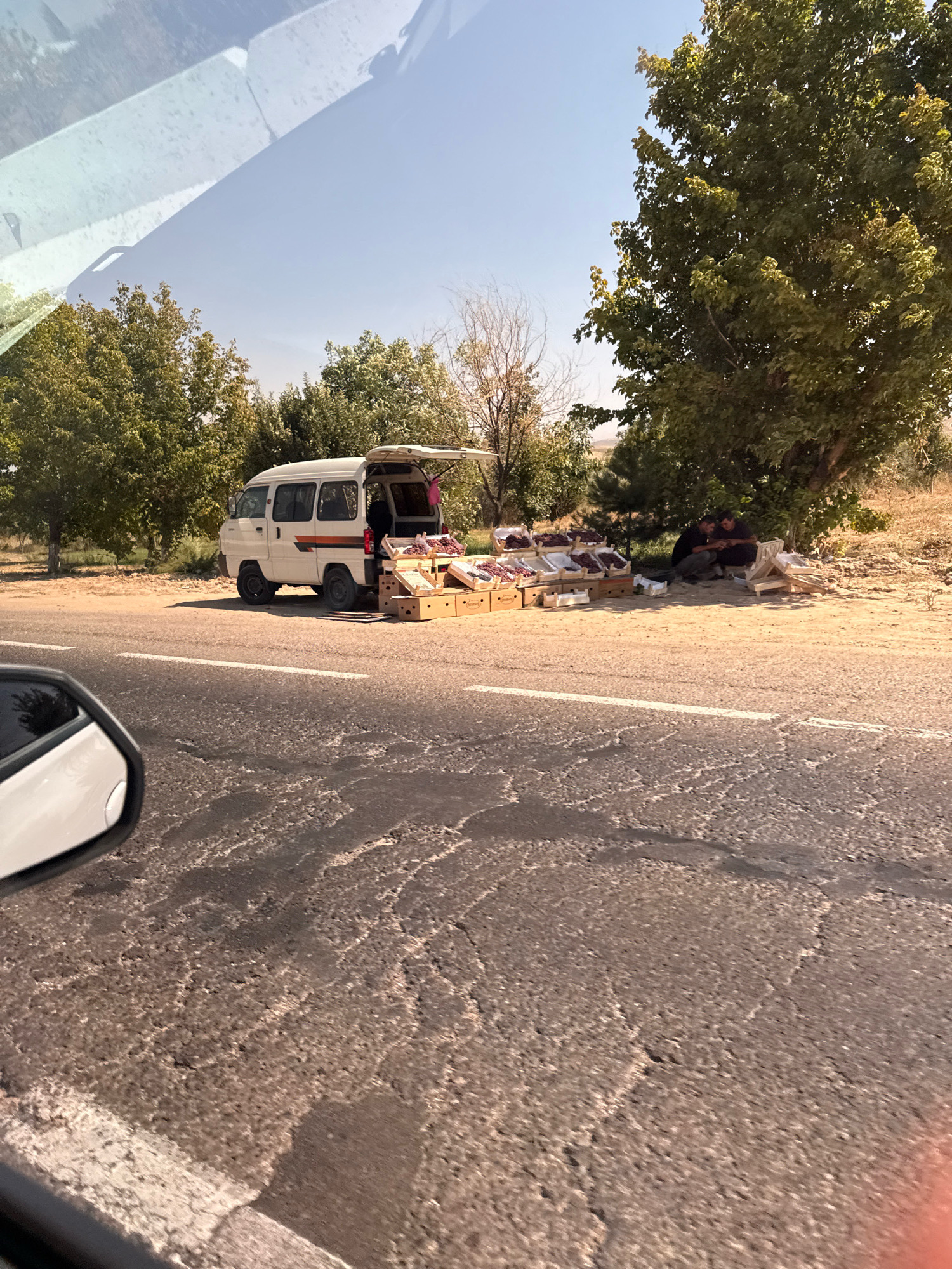 In Yangiaul, Uzbekistan, on a sunny day, a white van is parked on the side of a road, its rear hatch open. Boxes of produce, primarily grapes, are arranged on the ground in front of the van, suggesting a roadside market. Two individuals are seated under a large tree to the right of the van, appearing to be conversing or resting. The road in the foreground is cracked and weathered, with a white line marking the lane. Trees and dry vegetation form the background. The scene is captured from inside a vehicle, as indicated by a car's side mirror on the left.