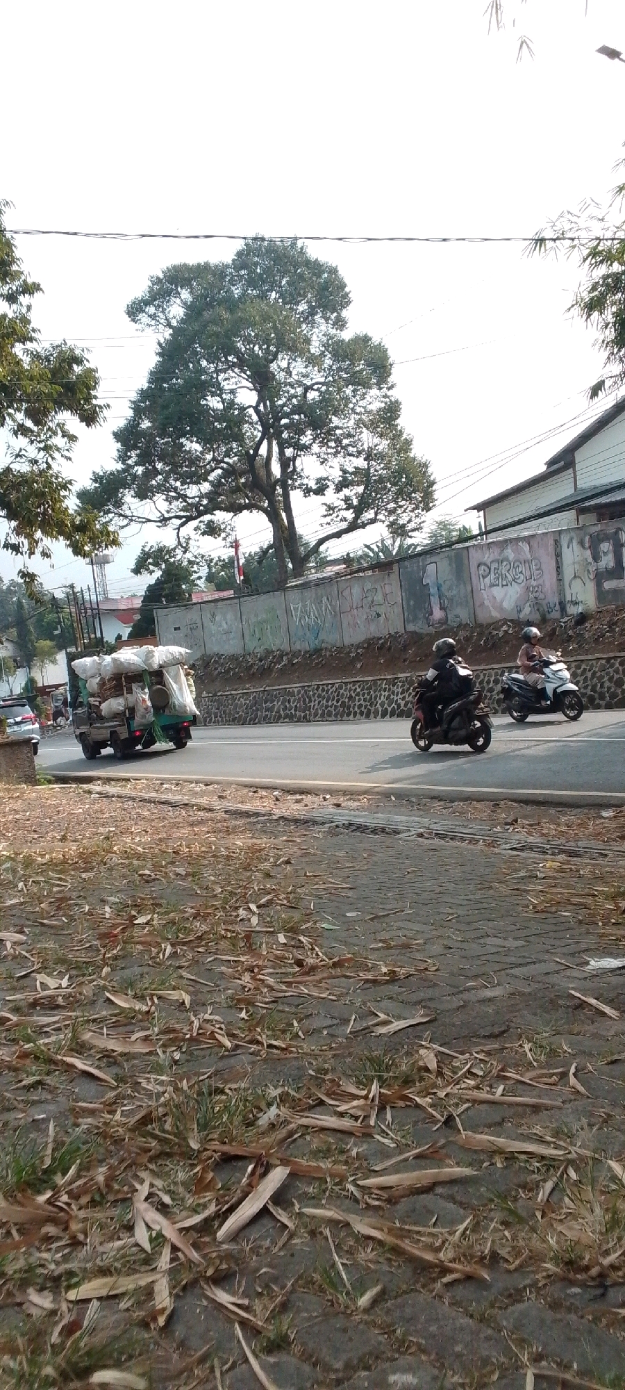 The image captures a street scene in Cilaku, Indonesia, under a bright, hazy sky. In the foreground, a paved walkway is covered with dried leaves and sparse grass. A street with a stone retaining wall runs across the middle ground. On the road, a small, green truck laden with white sacks and wooden poles is moving away from the camera. Two motorcyclists are also present on the road. The rider of the black motorcycle in the left lane is wearing a helmet and dark clothing, while the rider of the white motorcycle in the right lane is also wearing a helmet and lighter-colored clothing. Behind the road, a low wall with graffiti runs horizontally, topped by a large tree with spreading branches. Buildings and utility poles are visible in the background.