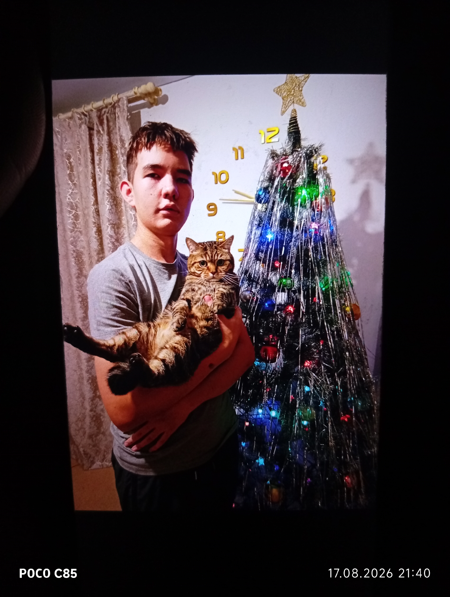 In a dimly lit indoor setting, a young male stands holding a tabby cat. The man is wearing a grey t-shirt and dark pants. The cat is held in a seated position, with its hind legs extended. Behind the man, a Christmas tree is visible, adorned with colorful lights and tinsel. A clock with large numerals is mounted on the wall in the background, with the hands indicating a time around 12:30. The overall scene suggests a domestic environment, possibly during the holiday season. The image is a photograph, indicated by the "POCO C85" and "17.08.2026 21:40" markers in the lower corners, suggesting a digital capture with date and time information. The specific location of Stepanovka, Kazakhstan, is not directly discernible from the visual elements in the image itself.