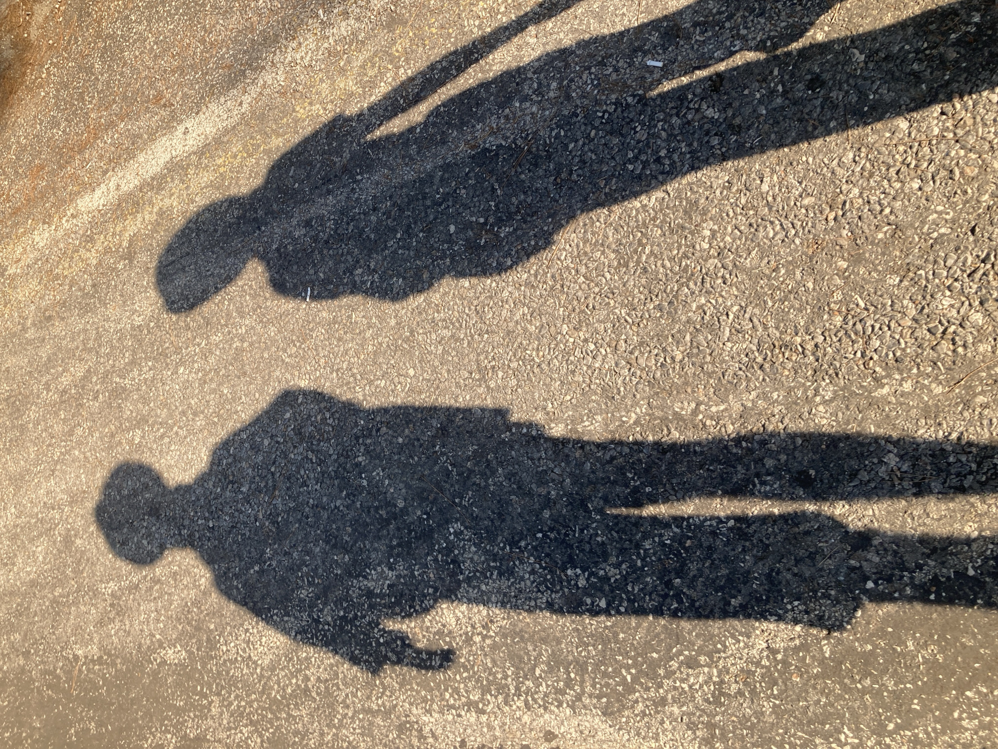 Two shadows are cast on an asphalt surface, one on the left and one on the right. The shadow on the left depicts a person with a hat, wearing what appears to be a jacket and pants. Their left arm is bent at the elbow, with their hand extended forward. The shadow on the right shows a person with a more undefined head shape, wearing what looks like a dress or long shirt and pants. The asphalt surface is textured with small stones and appears to be outdoors, possibly a street or pathway in the city of Kemer, Turkey, given the lighting and surface texture common in the region. The shadows are long, indicating the sun is low in the sky, suggesting either early morning or late afternoon.