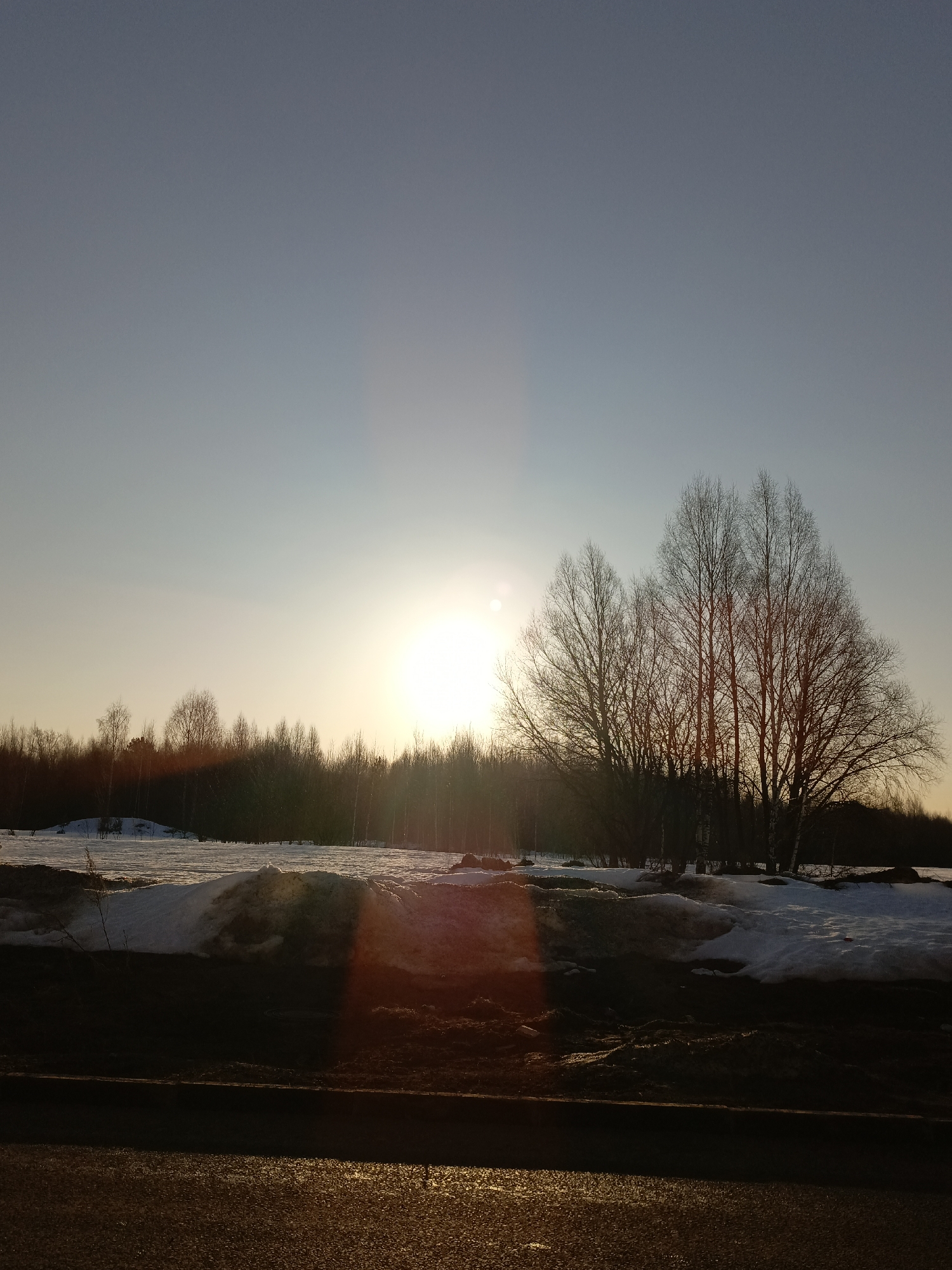 The image captures an outdoor scene in the Марковский, Russia area during late winter or early spring, characterized by a low sun near the horizon. The foreground consists of a dark asphalt road surface, reflecting a golden-orange light from the sun. Adjacent to the road is a strip of dark, unpaved ground, which transitions into an expanse of melting snow, interspersed with patches of bare earth and some dark, possibly muddy, areas. In the midground, a prominent cluster of leafless deciduous trees stands, largely silhouetted against the bright sky. Behind these, a dense line of similar bare trees forms a distant forest edge, also silhouetted. The sky is clear, displaying a gradient from a bright, intense white-yellow at the sun's position, slightly left of the image center, to a pale blue-grey at the top. A vertical lens flare emanates from the sun. No human figures or vehicles are present.