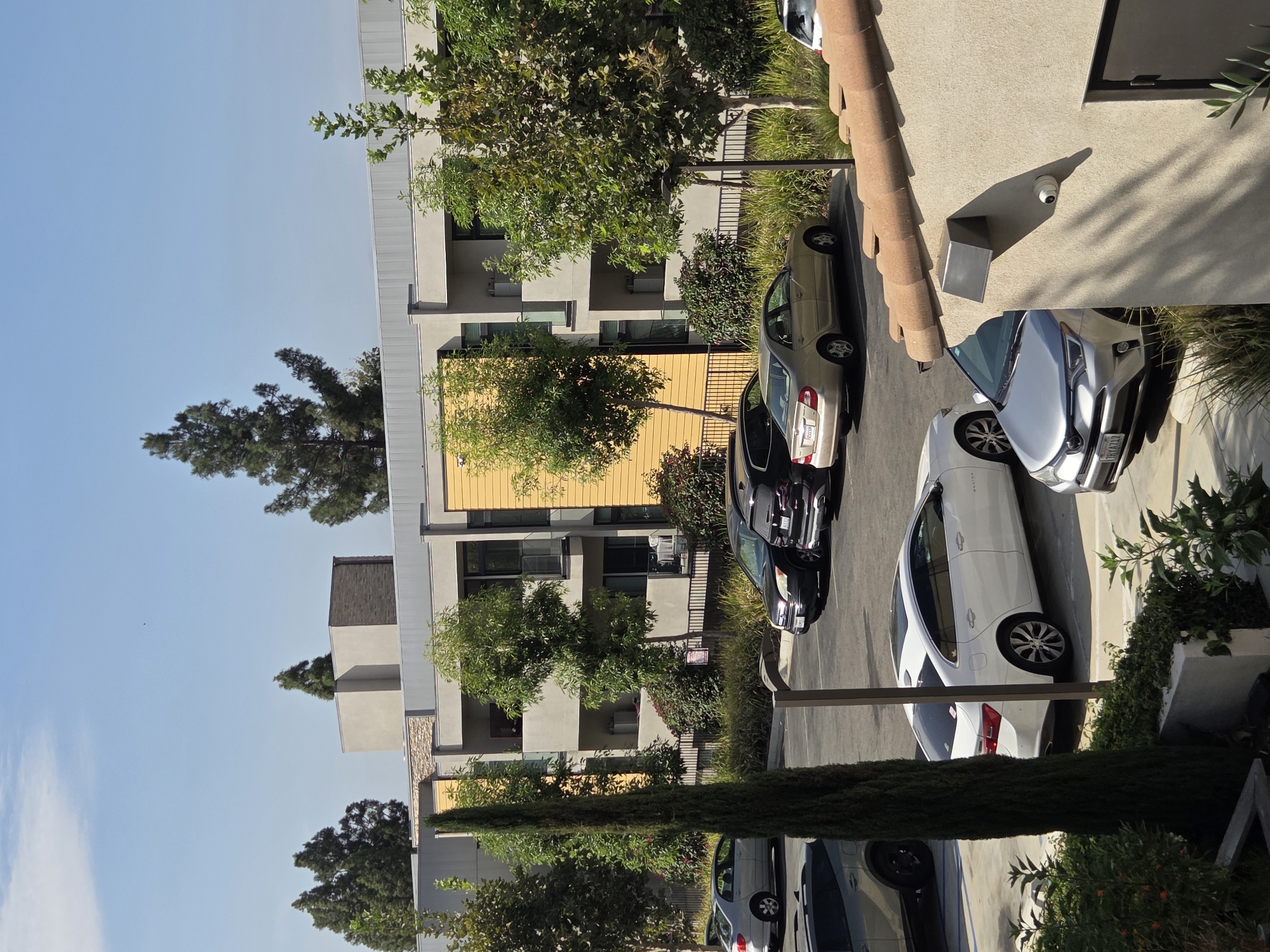 A bright, sunny day is depicted in a parking lot outside of a modern apartment building. The building has a grey facade with yellow accents and balconies. Several cars are parked in the lot, including a white sedan, a gold sedan, a black SUV, and a silver SUV. Lush green trees and bushes are scattered throughout the scene. In the foreground, a tall, slender evergreen tree stands prominently. The image is taken from a slightly elevated perspective, looking down into the parking lot and towards the building.