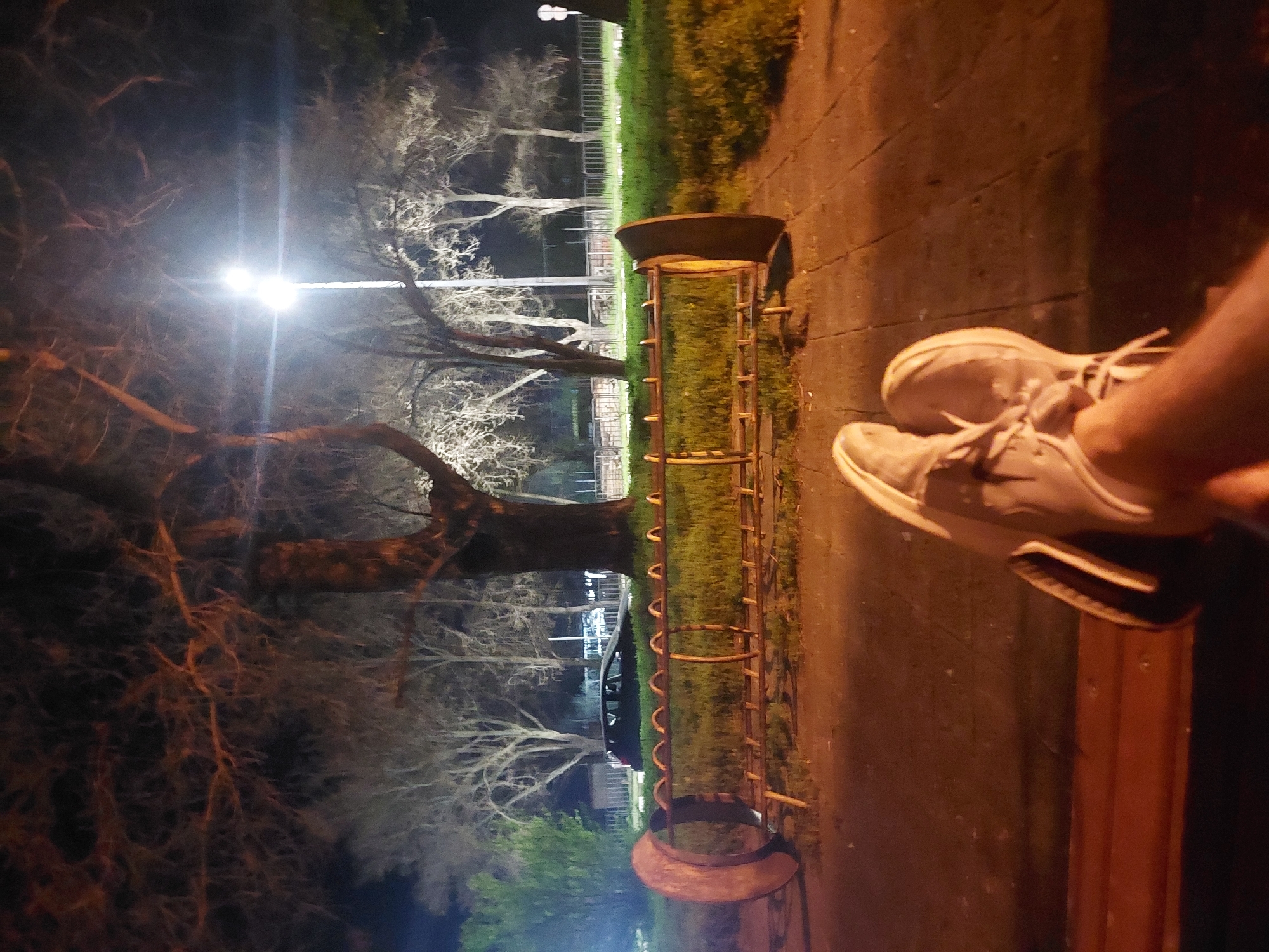 The image captures a nighttime scene in a park in Asenovgrad, Bulgaria. A person is sitting on a wooden bench with their feet propped up, wearing grey sneakers. Next to the bench is a metallic structure, possibly a playground element or a piece of park furniture. In the background, bare trees are illuminated by streetlights, creating a stark contrast against the dark sky. A fence runs along the edge of a grassy area beyond the trees. The scene appears to be quiet and still.
