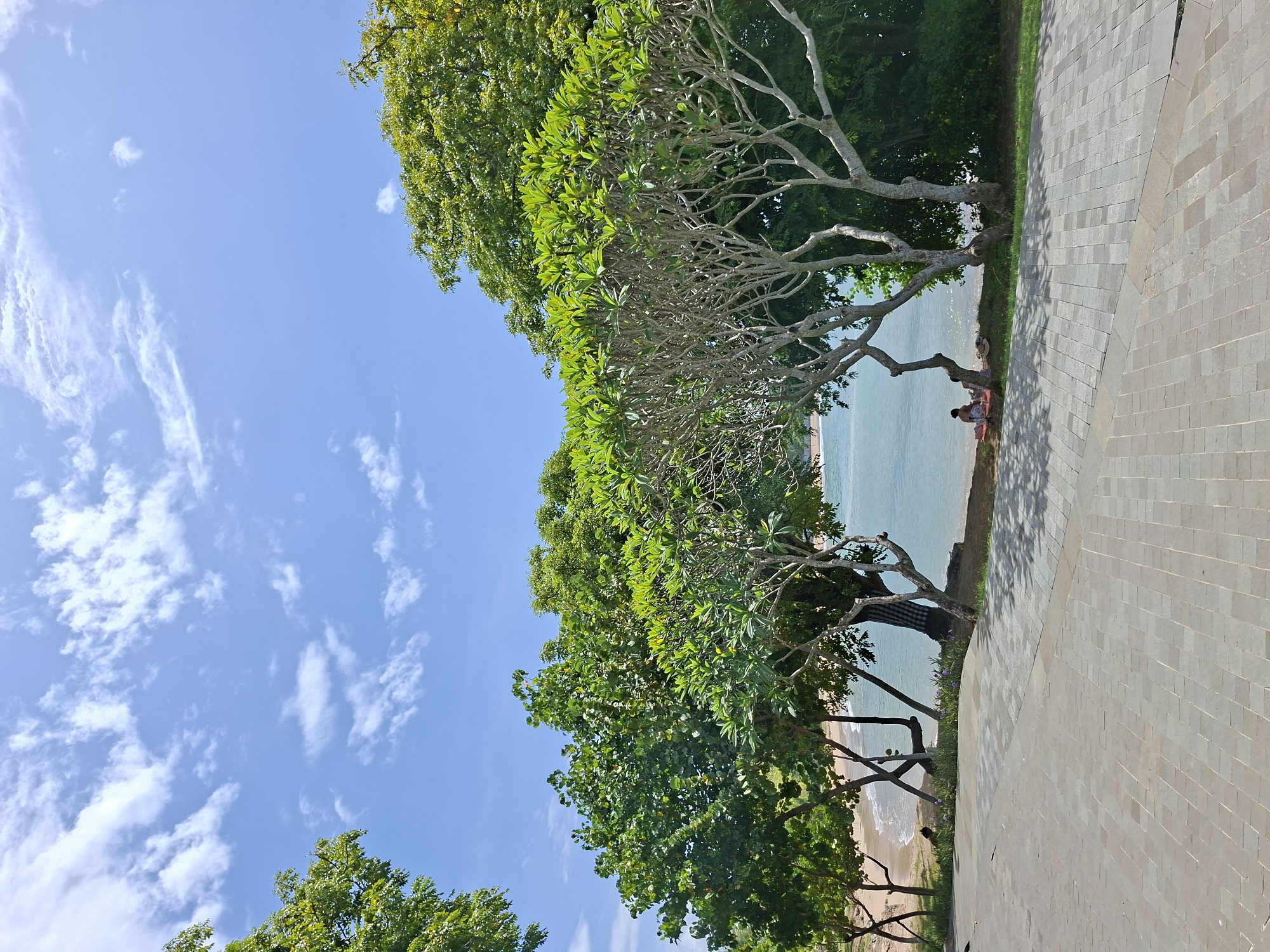 The image captures a coastal scene in Kuta Selatan, Indonesia, featuring a combination of natural and constructed elements. A paved walkway, composed of square tiles, occupies the right side of the frame. Along the walkway, trees with varied foliage grow, offering shade to the area. Two people are seated under a tree near the water. The ocean extends horizontally across the central part of the image. A clear blue sky, dotted with clouds, fills the remaining space above the trees.