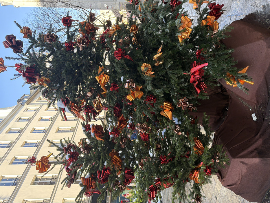 The image displays three evergreen trees, likely situated on a paved street in Paris, France. These trees are densely decorated with bows predominantly in shades of red, orange, and bronze/copper, with small patches of natural snow accumulated on some branches. The base of each tree is covered with a dark brown, fabric-like material. In the background, a multi-story building with a light-colored, possibly cream-toned, stone or stucco facade is visible, featuring multiple uniform windows with dark frames. To the right, a narrower street or alley extends, with an additional building and a bare tree discernible. Faint, indistinct human figures can be seen in the far background near the base of the left-most building. The scene is illuminated by natural sunlight under a clear blue sky.
