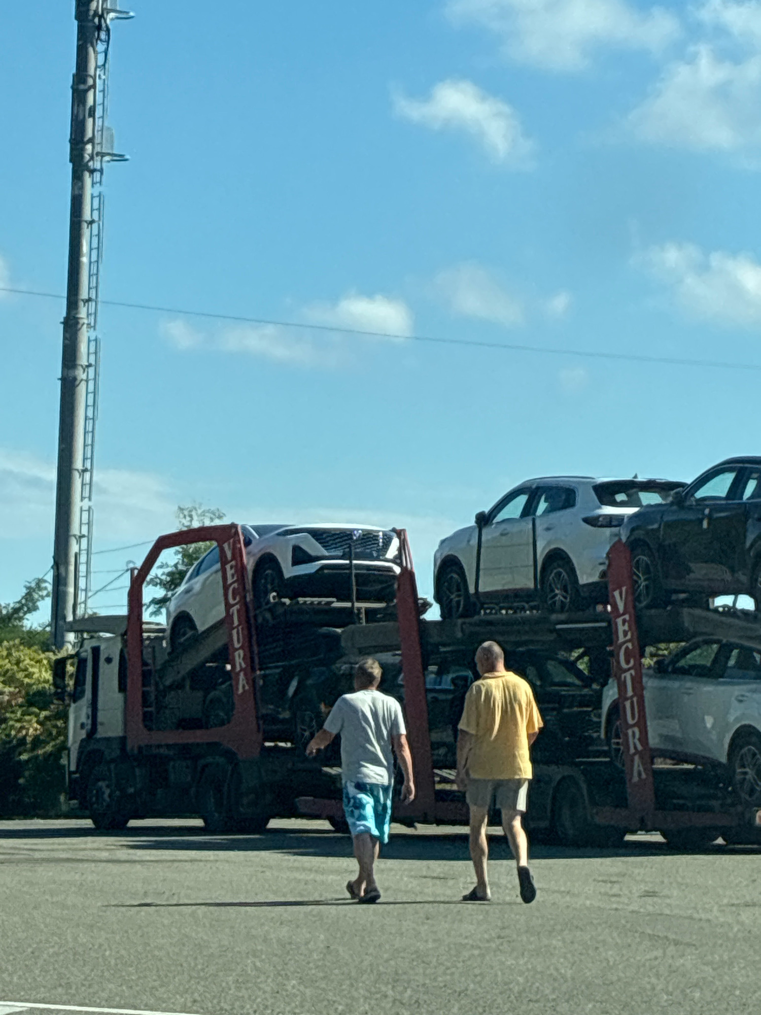 Two men are standing on a paved surface near a car carrier truck loaded with vehicles. The truck is red and white, and it is carrying at least three white cars and one black car. The men are walking away from the viewer, towards the truck. The man on the left is wearing a gray t-shirt and blue patterned shorts. The man on the right is wearing a yellow t-shirt and gray shorts. Behind the truck, there are trees and a blue sky with some clouds. A tall utility pole with a ladder is visible to the left of the truck. The scene appears to be in a sunny outdoor environment. The location is identified as Dzhubga, Russia.