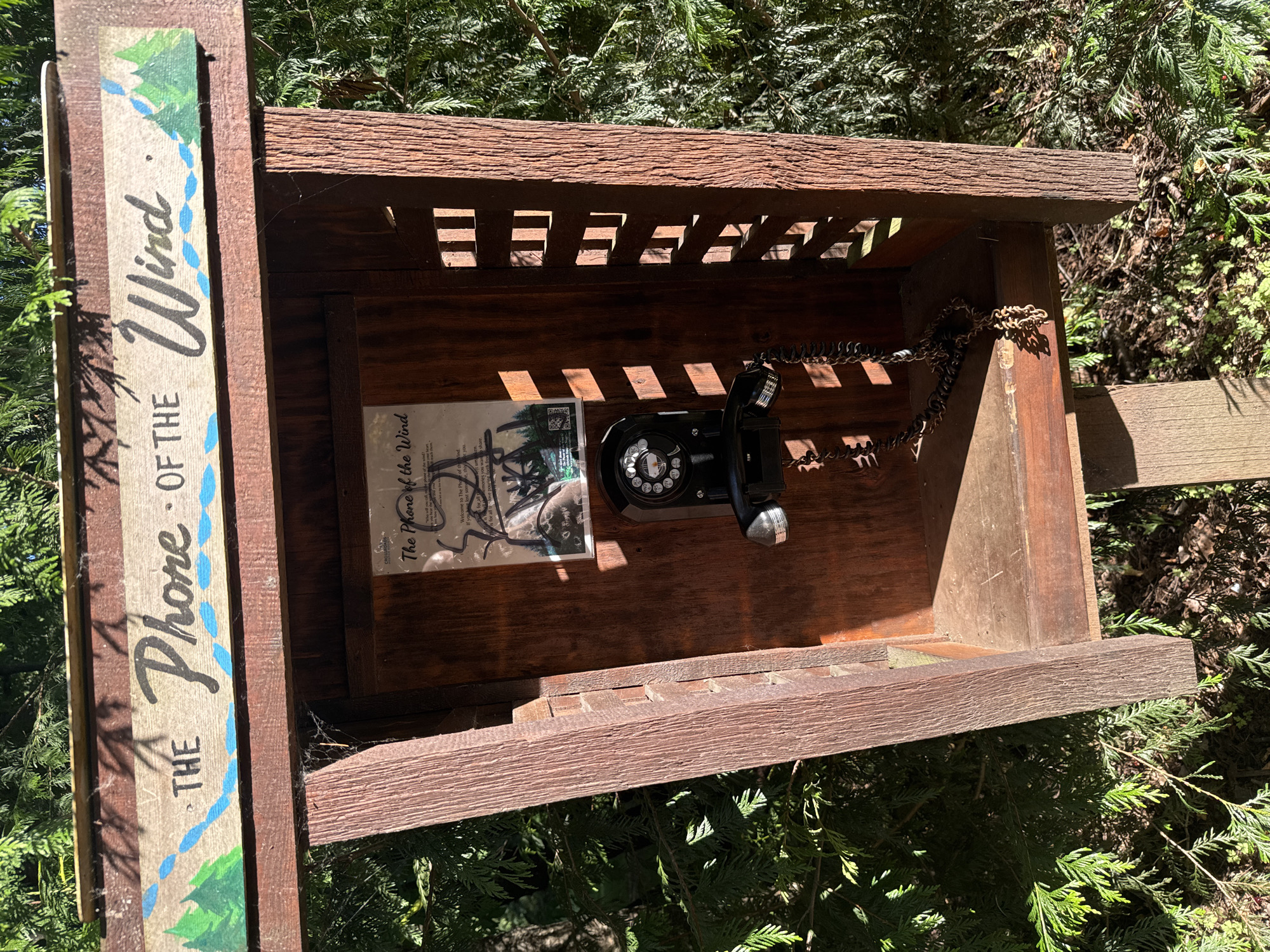 The image shows an outdoor installation called "The Phone of the Wind" located in the city of Port Moody, Canada. This installation consists of a wooden booth with a rotary phone inside. A sign above the booth reads "THE Phone OF THE Wind" with painted trees and blue waves. A flyer is attached to the back wall of the booth, providing information about the installation. The booth is surrounded by dense green foliage. The scene is captured in daylight with shadows cast by the sun.