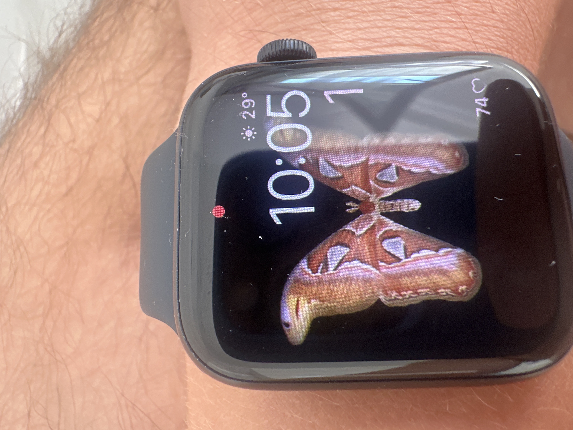 An Apple Watch on a person's wrist displays a butterfly as the watch face. The time is 10:05. The temperature is 29 degrees Celsius. There is also a heart rate indicator showing 74. The image was taken in Benimàmet-beniferri, Spain.