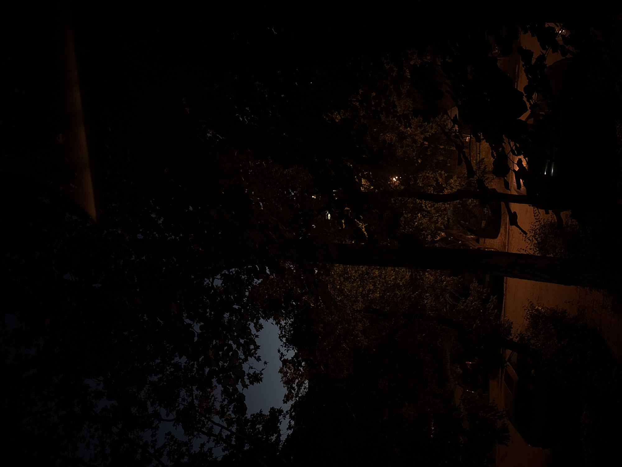 The image shows a night scene with dense trees and partial views of buildings in Plovdiv, Bulgaria. Streetlights cast a warm glow through the branches, partially illuminating a light-colored wall. A car is parked nearby, mostly obscured by the foliage and darkness. The sky is visible through the leaves.