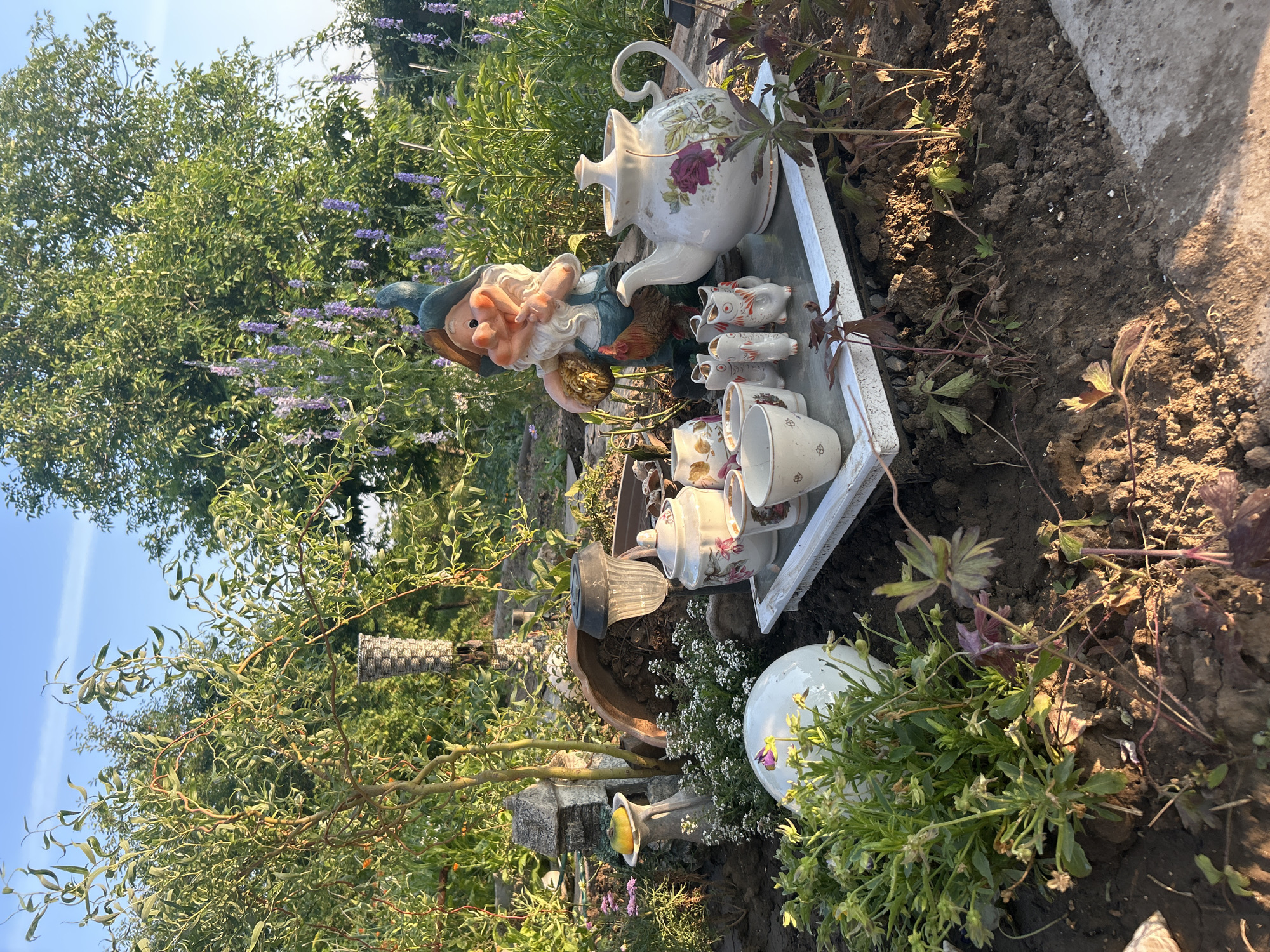 A garden scene with a ceramic gnome figurine and a miniature tea set is displayed outdoors in Ostriv, Ukraine. The gnome, depicting a red-cheeked character in blue overalls and a green hat, is positioned behind a white ceramic tray holding a teapot with floral designs, several teacups, a sugar bowl, and six small, white owl-shaped figures. The tea set pieces are adorned with delicate pink and green floral patterns.
To the left of the tea set, a white ceramic orb sits amongst lush green foliage and small, delicate white flowers. In the background, a variety of trees and plants are visible, with tall stalks of purple flowers adding a splash of color. A solar-powered garden light and a weathered bird bath are also present in the scene. The ground is covered in dark soil and mulch. The lighting suggests it is either early morning or late afternoon, with the sun casting long shadows across the garden.