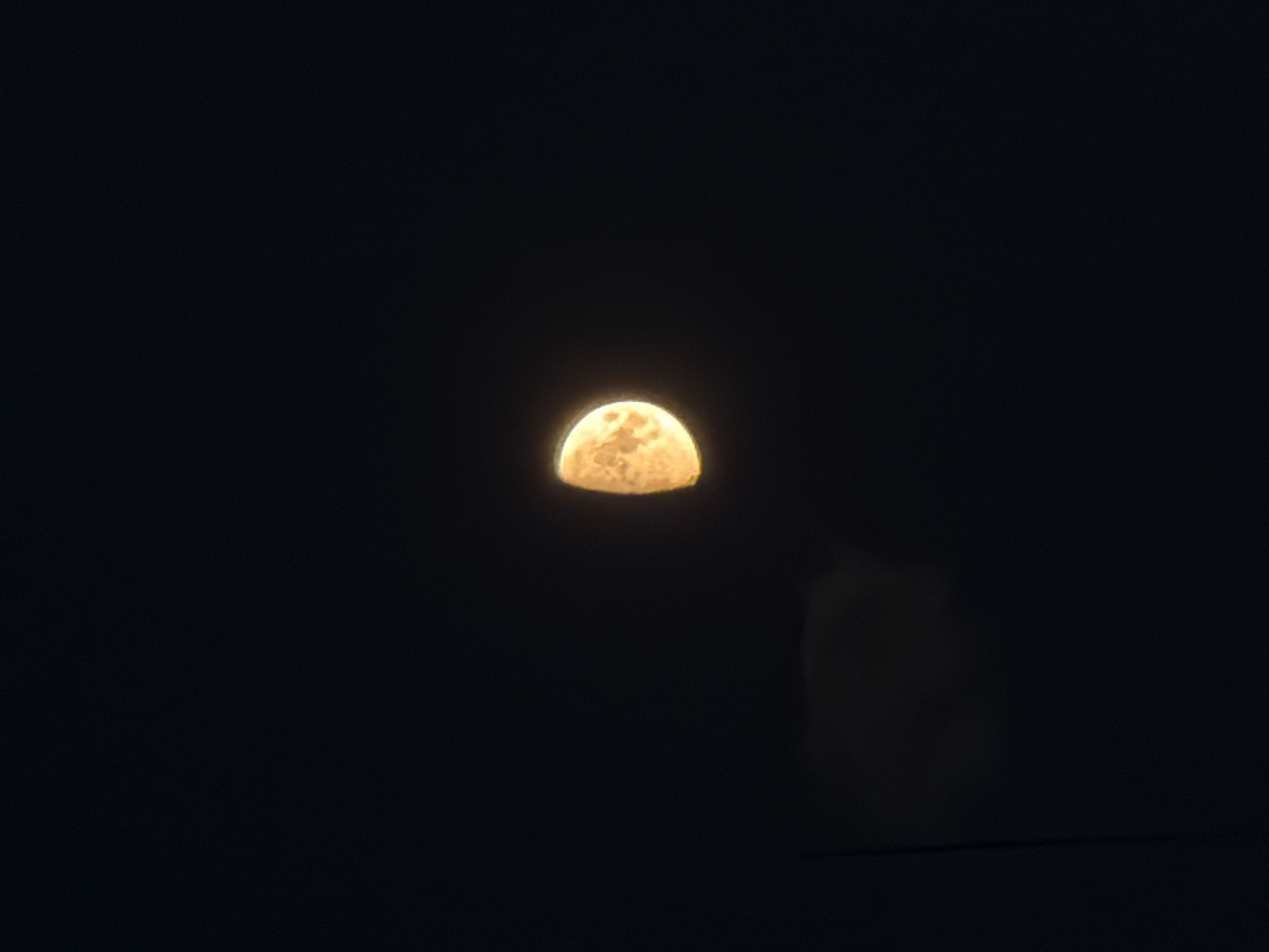 A crescent moon, colored orange and yellow, is visible in the dark night sky, positioned slightly to the right of the center. The moon's surface shows some textural detail. In the lower left quadrant of the image, a faint, wispy cloud formation is present, appearing lighter than the surrounding darkness. A thin, vertical, dark line, possibly a wire or tree branch, is visible in the far left of the frame, extending upwards from near the bottom edge. The overall background is a deep, uniform black, indicative of a clear night sky. No specific location in Sofia, Bulgaria, can be identified from this image.