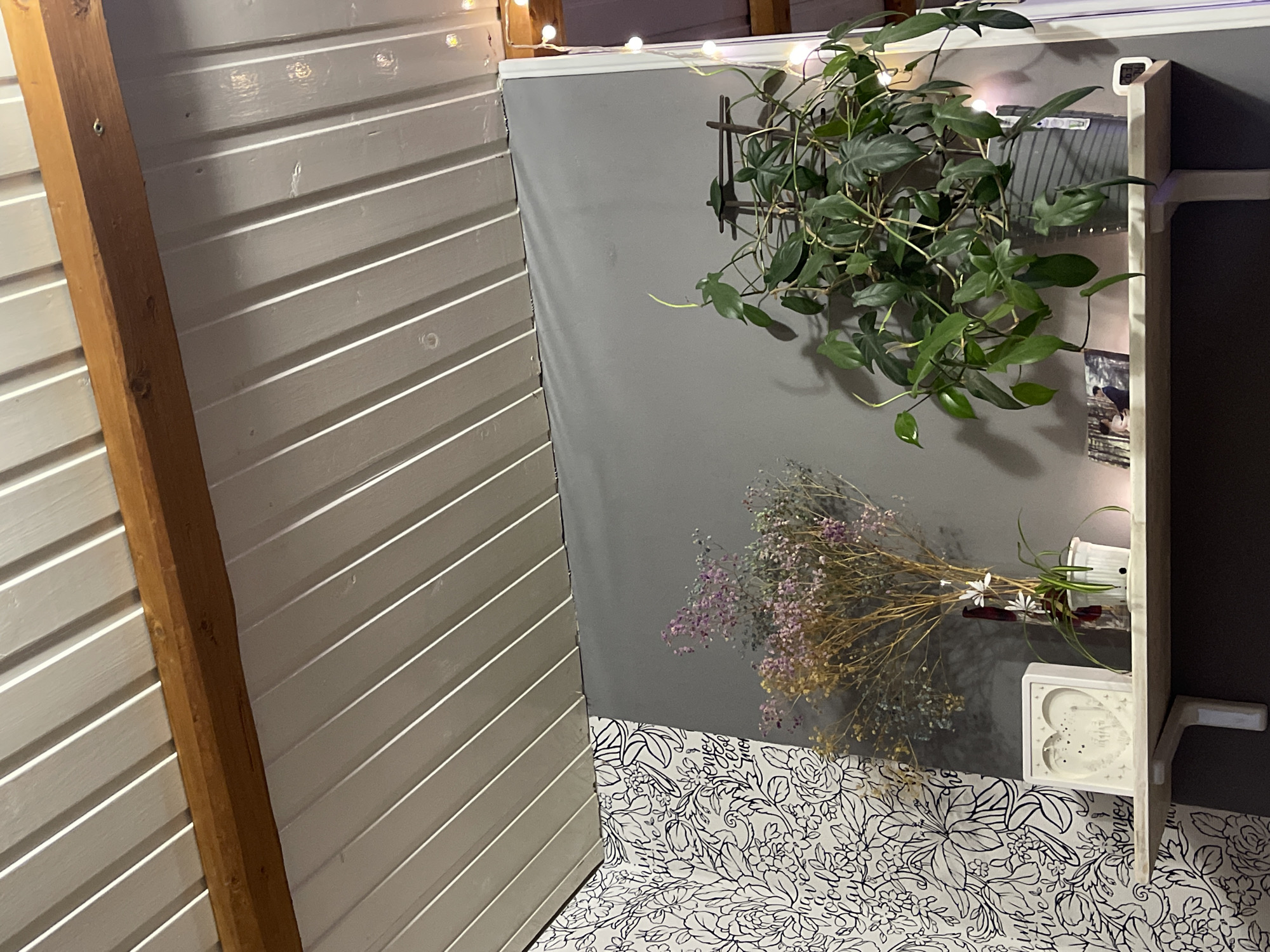 The image depicts an indoor scene with a shelf containing several decorative items and plants. The shelf is positioned against a grey wall, which is adjacent to a wall covered in black and white floral wallpaper. Above the shelf, a wooden beam runs across a white, slatted ceiling.
On the shelf, from left to right, there is a white heart-shaped shadow box with an engraved design, a small white planter with a spider plant, and a vase containing dried flowers with small purple and yellow blooms. To the right of the dried flowers is a potted plant with large, dark green, heart-shaped leaves, likely a philodendron, which is trained on a wooden trellis. Behind the plants, a string of fairy lights is visible, casting a warm glow. Two small framed photographs are placed in front of the potted plant. A digital thermometer is visible on the far right side of the shelf, displaying the time "16:37".
The overall impression is a decorated shelf in a room, possibly a living area or a sunroom, with natural light filtering in from an unseen source. There are no people visible in the image. The location is not specified in the image itself.