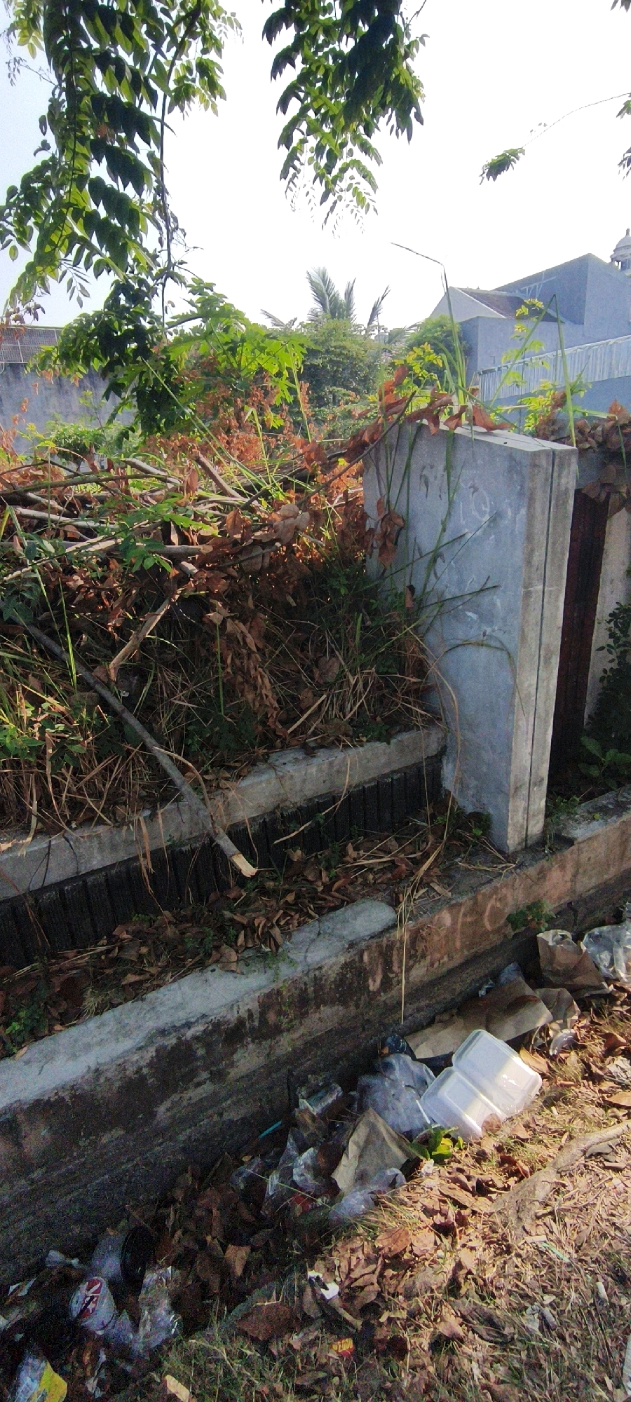 A pile of branches and dry leaves is stacked against a concrete structure, which appears to be a boundary wall or a section of a drainage system. The concrete structure has some faint markings on it. To the right of the concrete structure, there is a dark wooden surface, possibly a door or panel. In the foreground, the drainage channel contains more debris, including fallen leaves, twigs, and various types of trash such as plastic containers, plastic bags, and crumpled paper. The surrounding environment is overgrown with vegetation, including tall grasses and some leafy plants. In the background, a light blue building is visible, partially obscured by trees and other foliage. The scene suggests an outdoor area, likely in an urban or semi-urban setting, given the presence of the building and the trash. The lighting indicates it is daytime, with sunlight casting shadows and illuminating the scene. The specific location is described as being in West Jakarta, Indonesia.