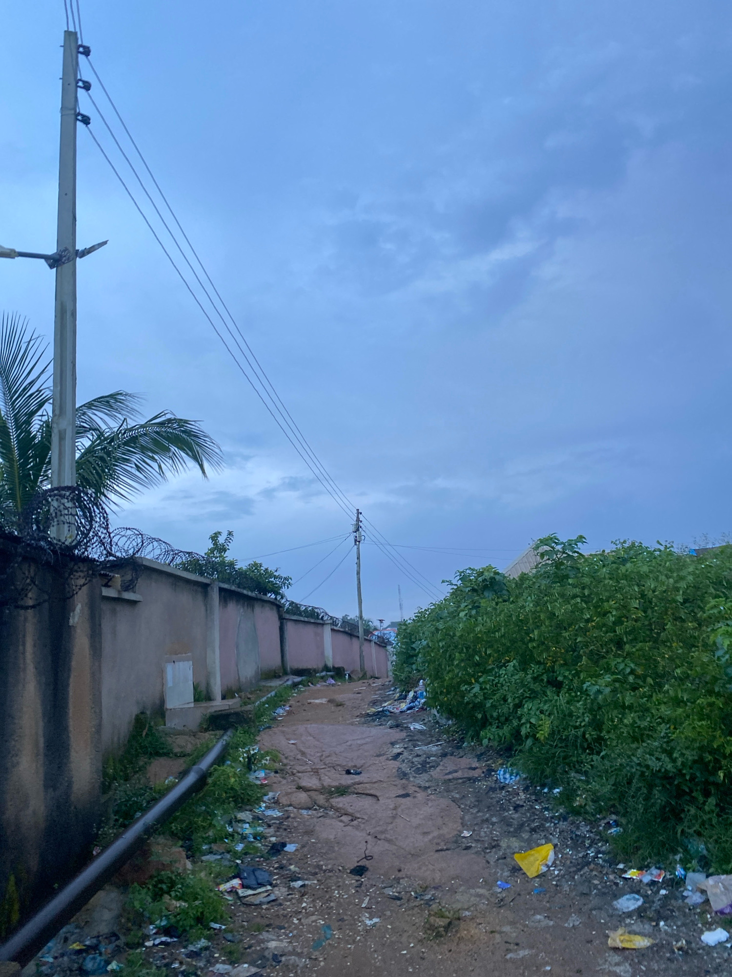 The image depicts a narrow, unpaved alleyway in Jos, Nigeria, with a ground composed of dirt and scattered debris. On the left, a light-colored concrete wall topped with barbed wire stretches into the distance, adjacent to a palm tree. A concrete utility pole with overhead power lines is visible on the left, and another utility pole with wires is situated further down the alley on the right. Lush green vegetation borders the right side of the alley, contrasting with the litter strewn across the ground, which includes plastic bags and other refuse. The sky overhead is overcast with heavy, grey clouds, suggesting a cloudy or impending rainy day. The scene conveys an atmosphere of urban neglect due to the presence of trash and unmaintained infrastructure.