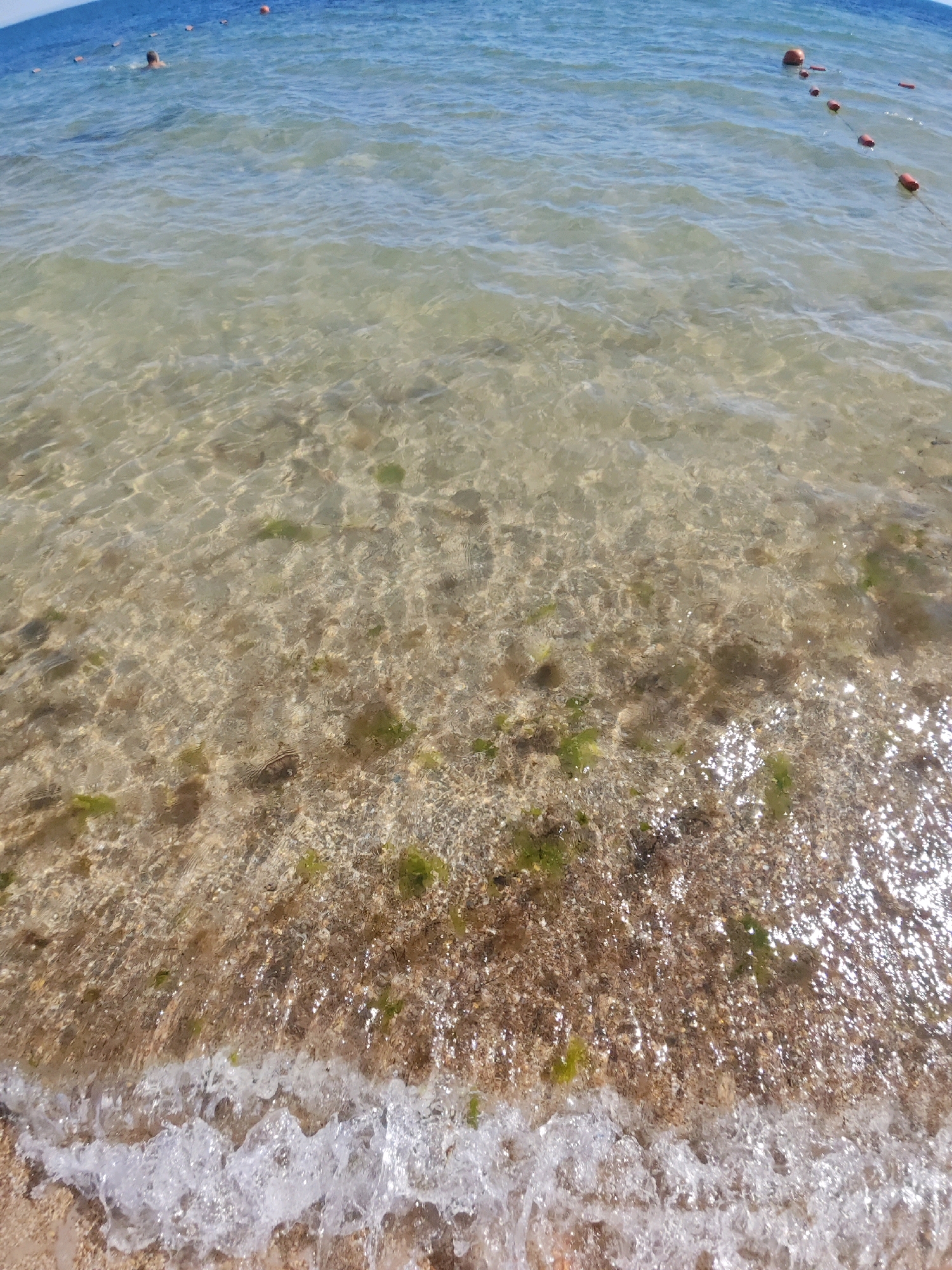 The image depicts a shallow, sandy seabed with some green seaweed visible. The water is clear, allowing the seabed to be seen. A gentle wave is breaking at the shore. In the distance, a person is swimming in the blue water, and orange buoys are scattered across the surface, possibly marking a swimming area. The scene appears to be a typical beach environment.