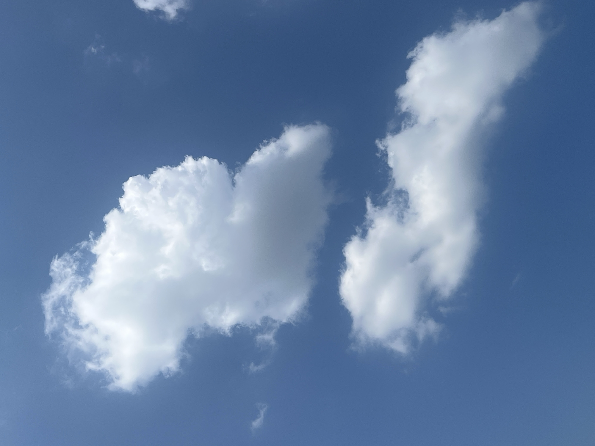 The image shows a clear blue sky with several fluffy white clouds. There are no people, buildings, or any other objects visible. The scene is a natural outdoor environment, characteristic of a sunny day. There is no information available within the image to determine its location in the city of Omsk, Russia.