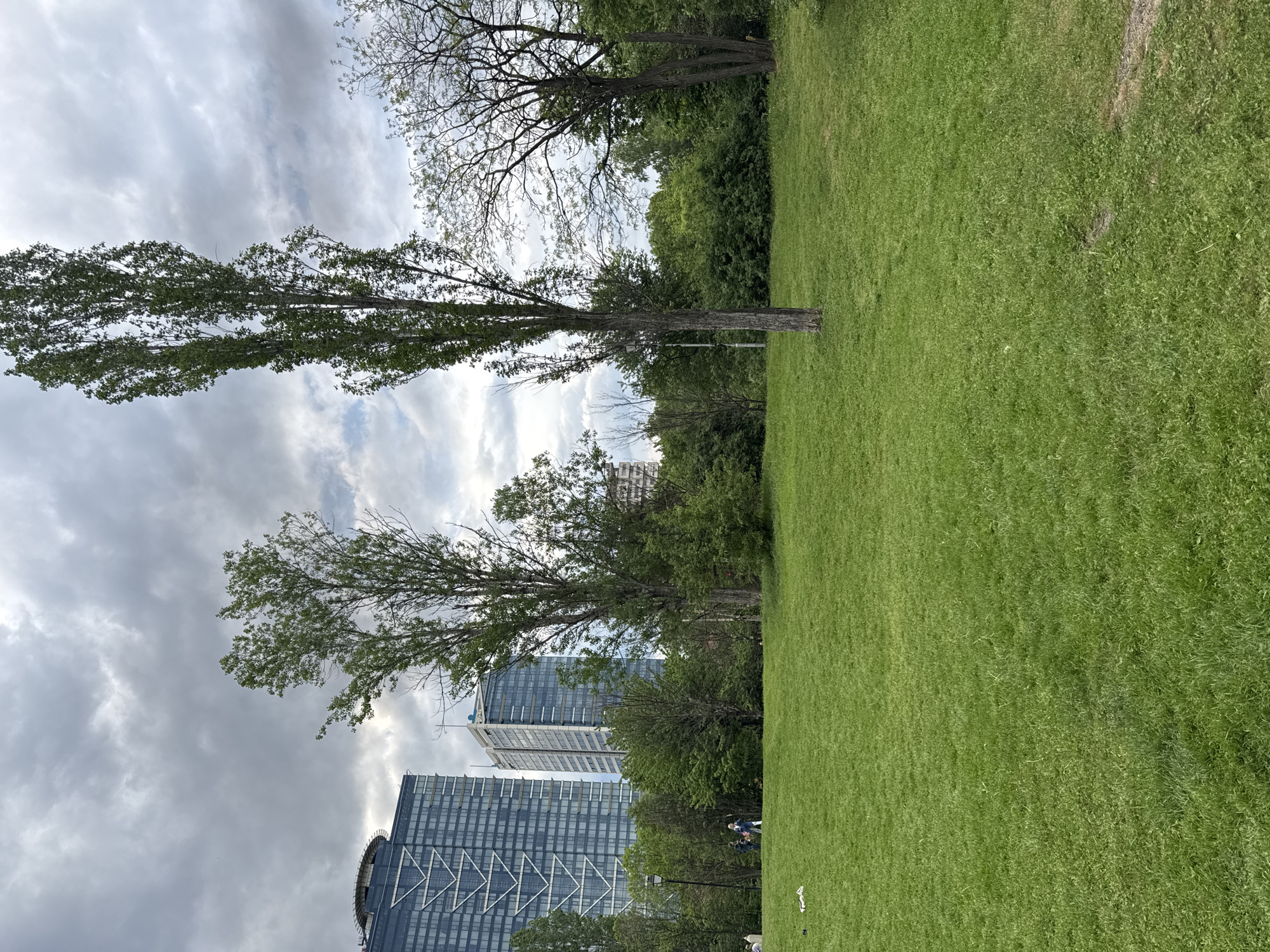 The image shows a park in Sofia, Bulgaria, with a large green lawn in the foreground. Several tall trees are scattered throughout the park, partially obscuring the view of modern high-rise buildings in the background. The sky is overcast with heavy, gray clouds. People are barely visible in the distance.