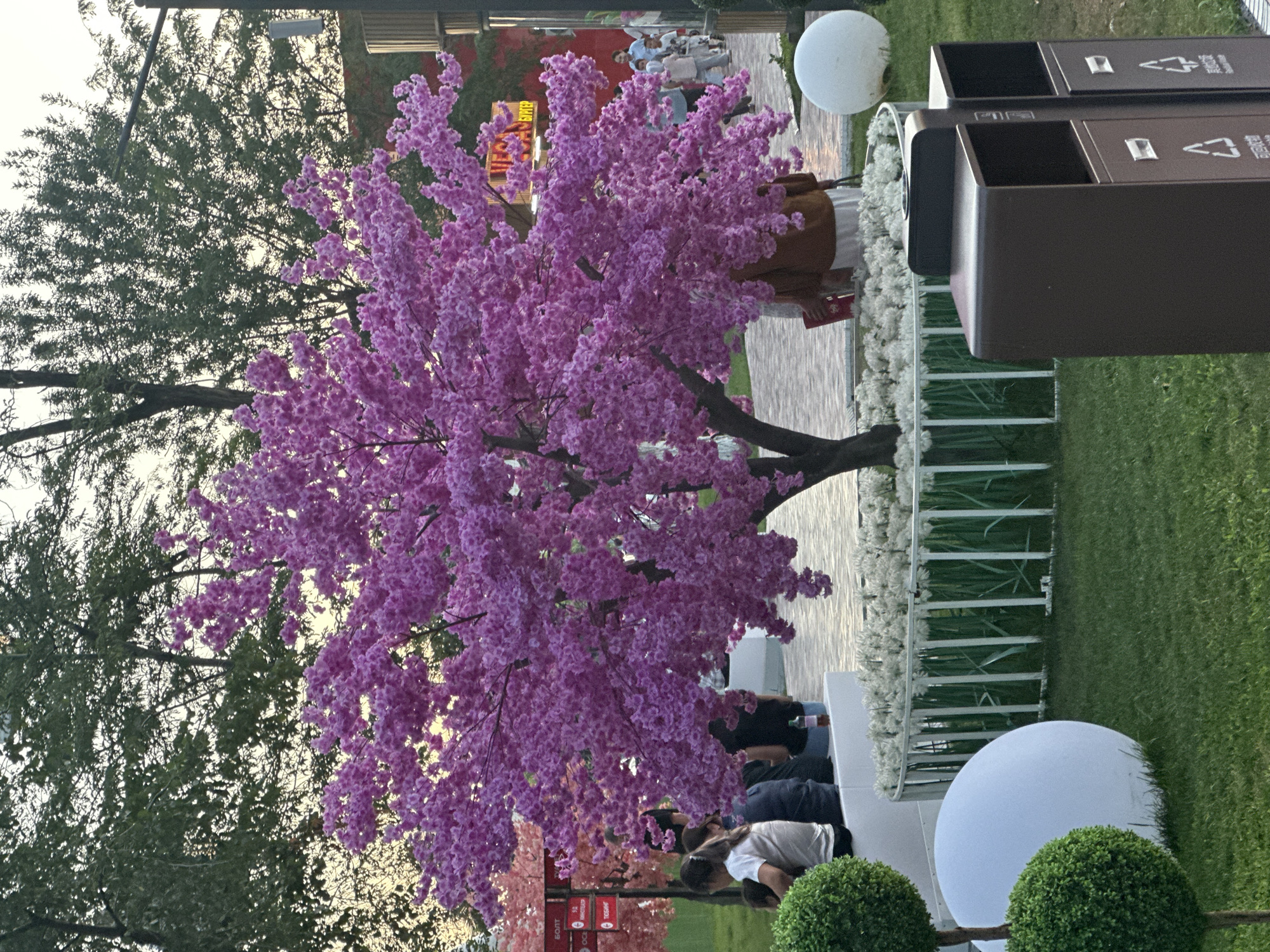 The image depicts an outdoor scene with a focus on a large, artificial pink tree. Several people are visible in the background, some sitting and others standing. The setting appears to be an event or public space, with elements like decorative white floral arrangements, large white spherical lights, and modern brown trash receptacles. A fence with white bars is also present, adorned with the white floral decorations. In the background, there is a glimpse of a building with red signage.
The time of day appears to be late afternoon or early evening, given the soft lighting and the sky's color. The weather seems pleasant, suitable for an outdoor gathering. The overall atmosphere is festive and visually appealing, suggesting a well-decorated event space.
While most of the visible text is blurry, some characters suggest it may be in a Cyrillic-based alphabet, consistent with the provided location context of Dzhalal-Abad, Kyrgyzstan. The specific event or activity is not clearly discernible, but the presence of people, decorations, and lighting indicates a social gathering or public event.