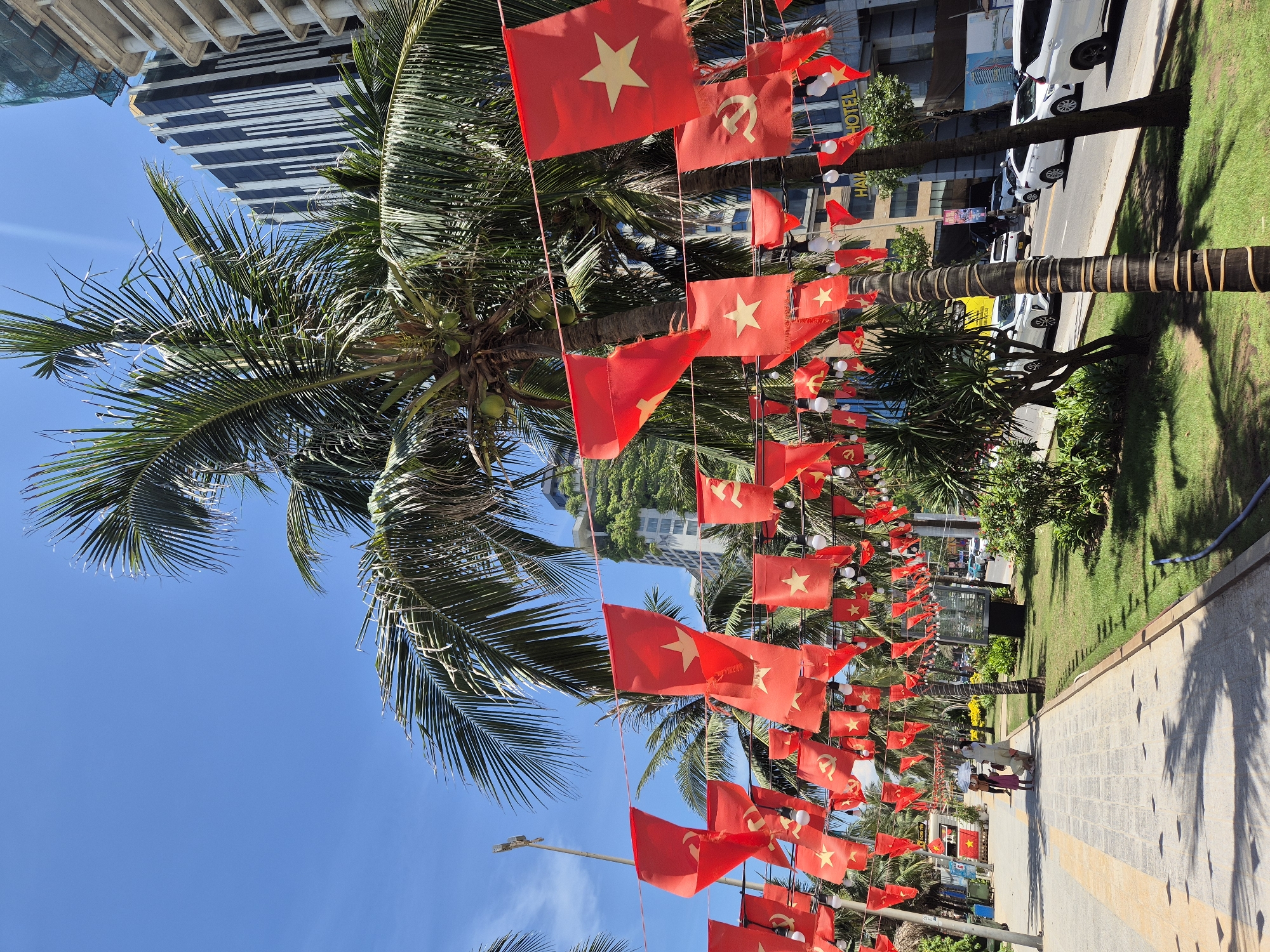 This image captures a street scene in Da Nang, Vietnam, likely near a coastal area given the presence of palm trees and the bright sunlight. Red flags, some bearing a yellow star and others the hammer and sickle symbol, are strung across the street, creating a festive or commemorative atmosphere. These flags, along with decorative lights also strung overhead, are suspended between palm trees and buildings.
In the background, modern high-rise buildings are visible, some appearing to be under construction with scaffolding. The street itself features a paved walkway, a grassy median with more palm trees and vegetation, and a road with several white cars. Two people are walking on the sidewalk in the middle ground, one holding a white umbrella. The sky is a clear, bright blue, indicative of sunny weather. The overall impression is a vibrant urban environment decorated for an event, with a strong Vietnamese cultural presence suggested by the flags.