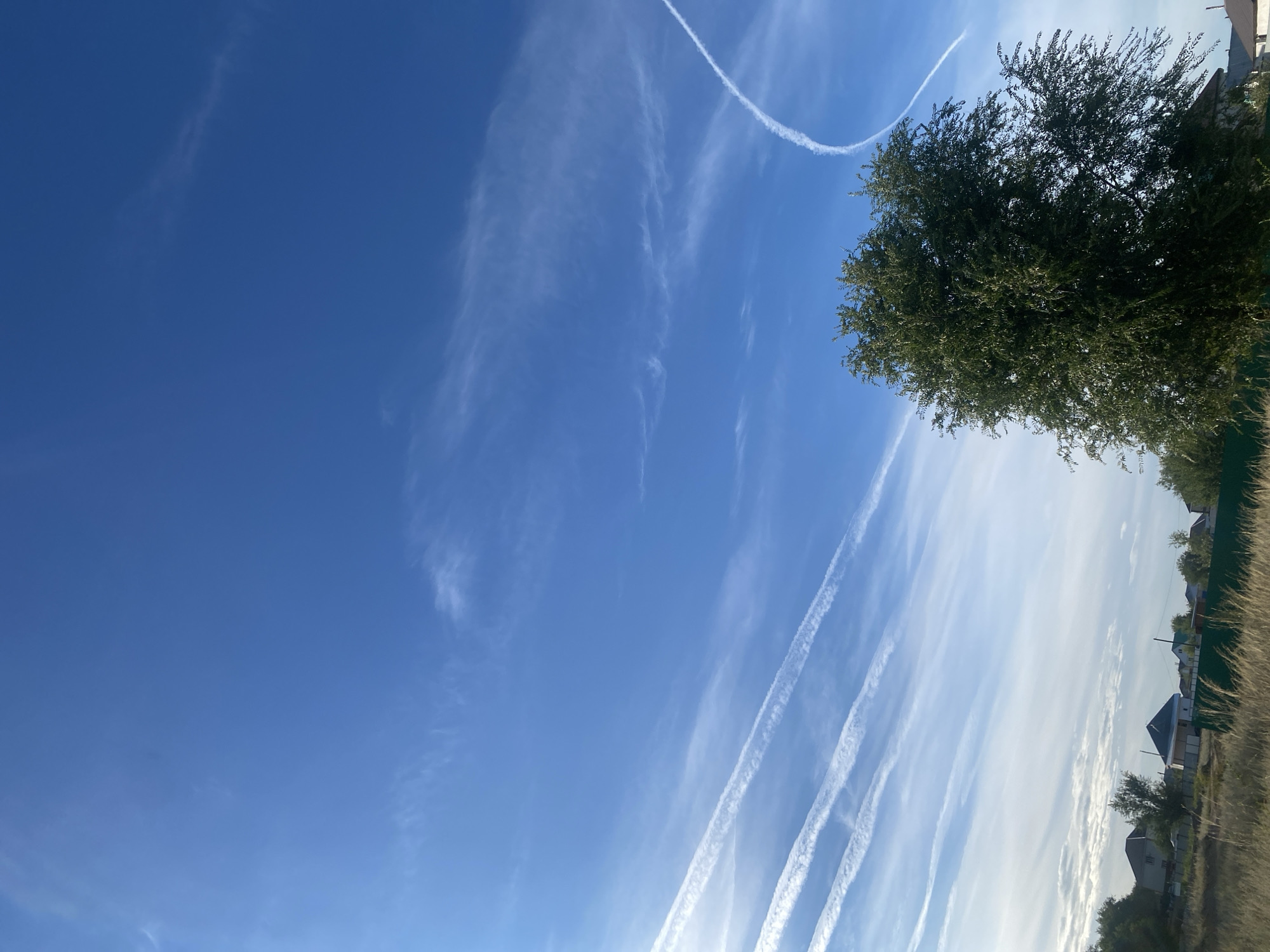 The image captures a bright, clear sky over the village of Baikonys rural district, Kazakhstan. Multiple white contrails are visible, streaking across the blue expanse. In the foreground, a large, green, leafy tree dominates the right side of the frame. Behind the tree and to the left, several houses with pitched roofs are visible, interspersed with trees. A green fence runs along the bottom of the image, separating the foreground from the houses and vegetation. The ground in the foreground is covered in dry, yellowish grass.