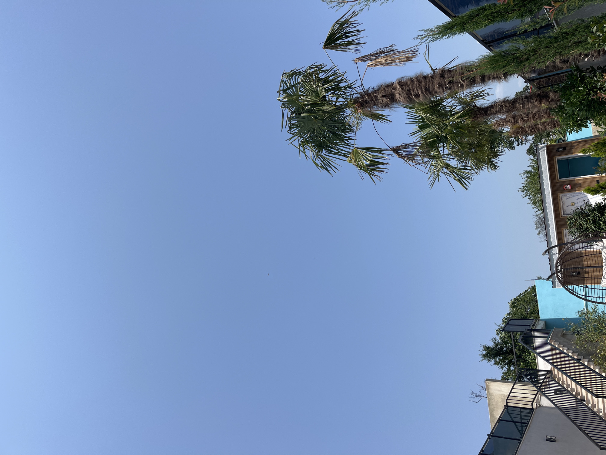 The image depicts a clear, bright blue sky above a collection of buildings and vegetation. In the foreground, a tall palm tree with a shaggy trunk and fronds dominates the right side of the frame. To the left, a set of outdoor stairs with black railings ascends along a light-colored building. Behind the stairs, a vibrant blue wall is visible, and further back, smaller buildings with wooden siding and teal doors are partially obscured by trees. The overall scene suggests a warm, sunny day in an outdoor setting, possibly a residential or recreational area. The image is shot from a low angle, looking upwards towards the sky and the upper portions of the structures and trees.